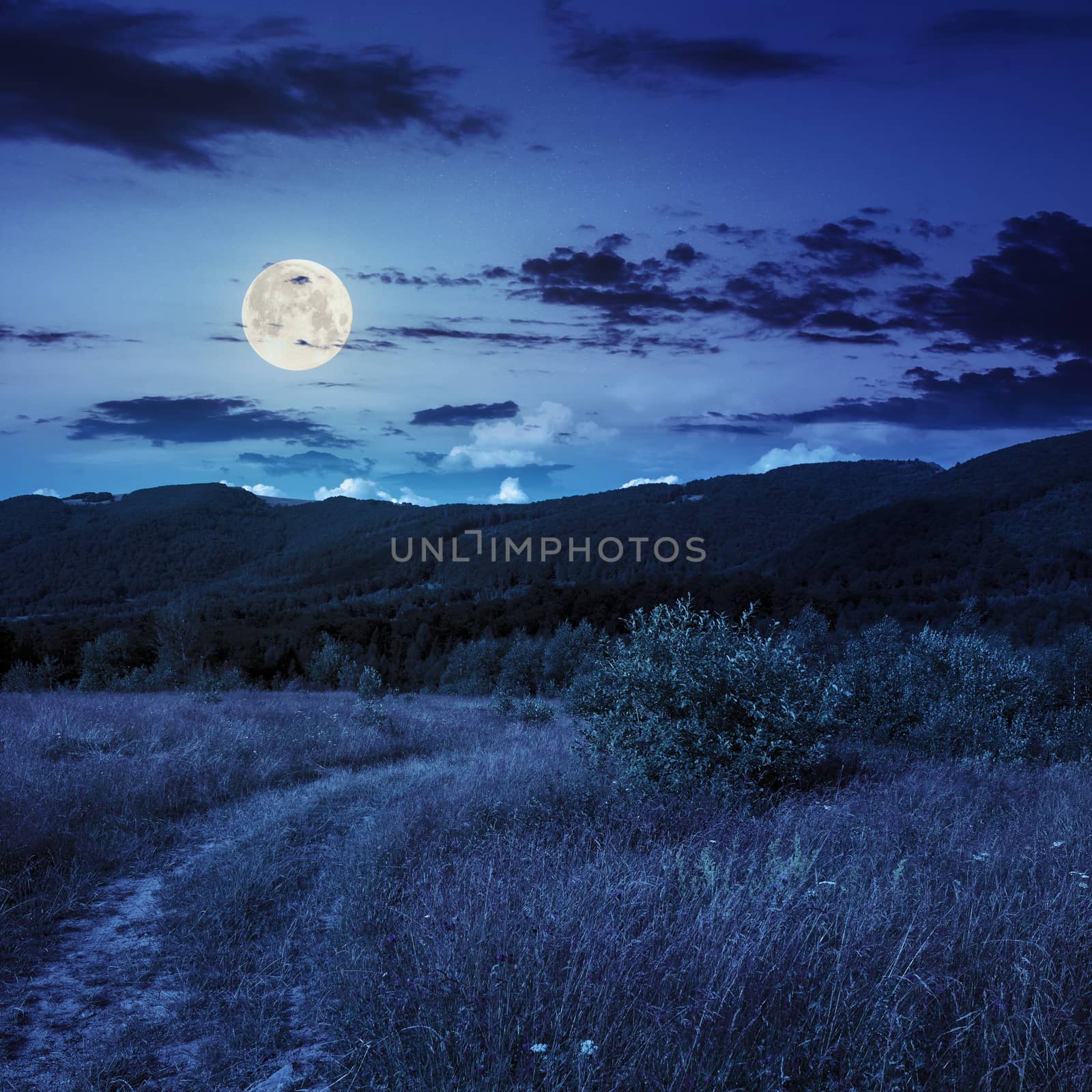 mountain summer landscape. meadow and forest on hillside under  sky with clouds at night in moon light