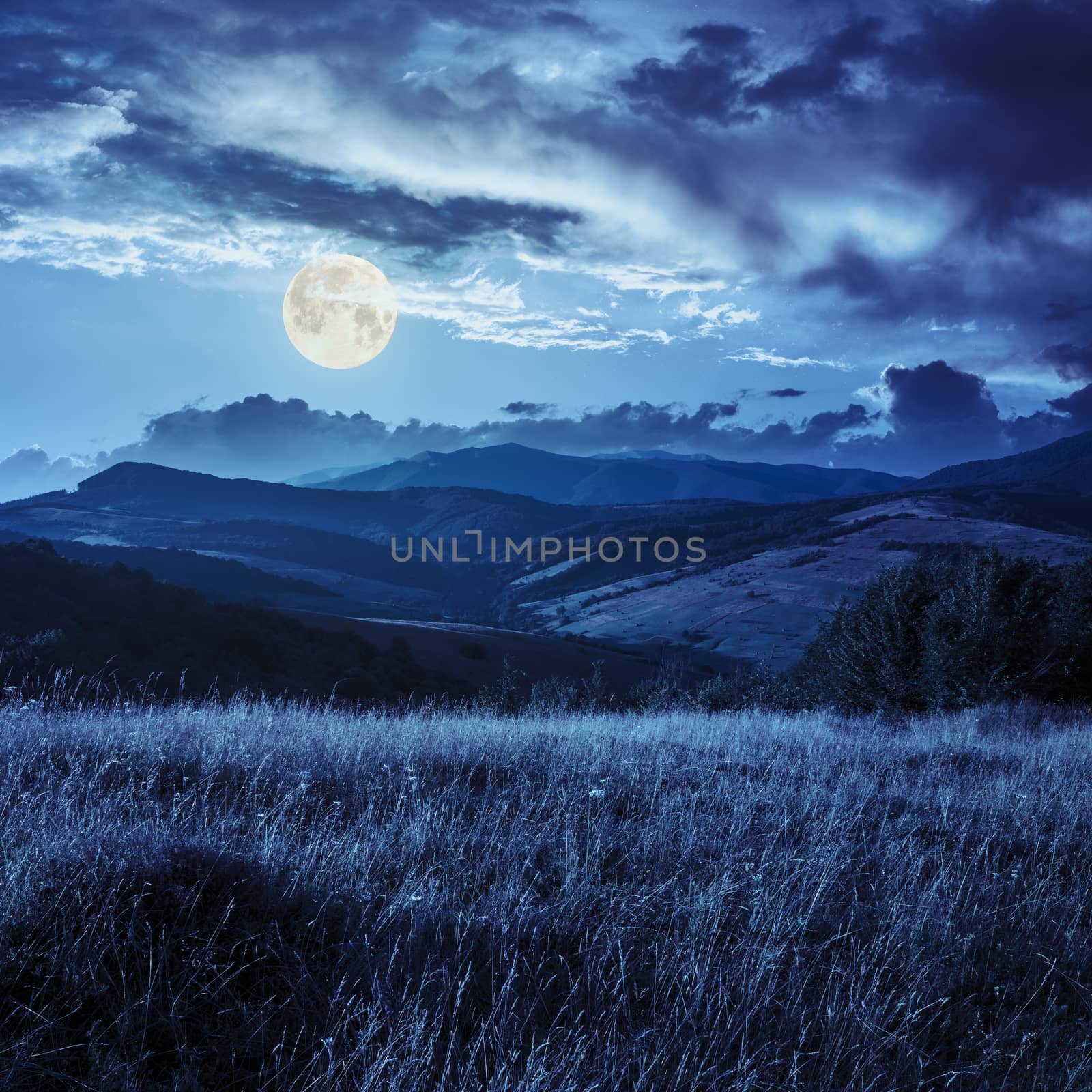 mountain summer landscape. trees near meadow and forest on hillside under  sky with clouds at night in full moon light