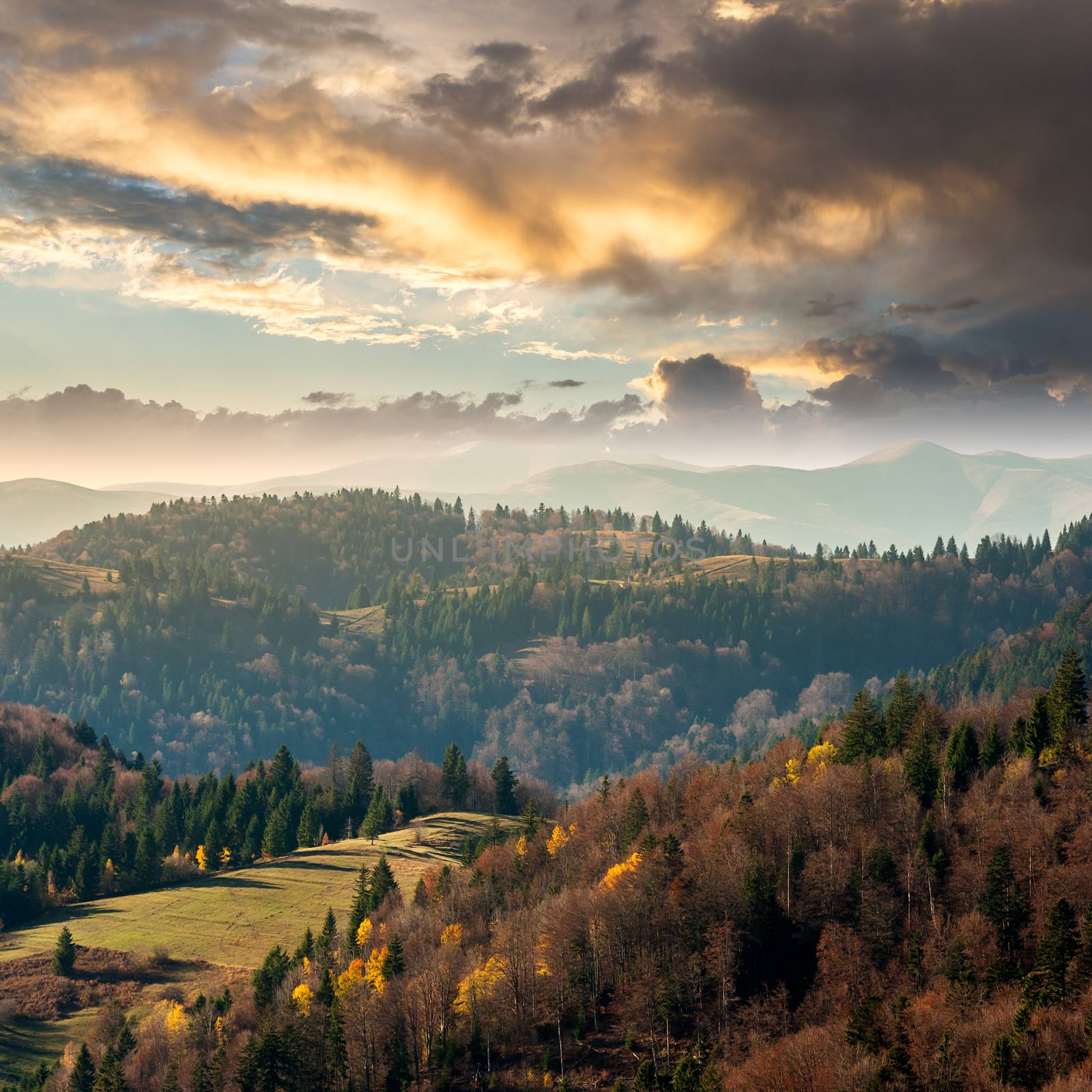 autumn landscape. slope of mountain range with coniferous forest