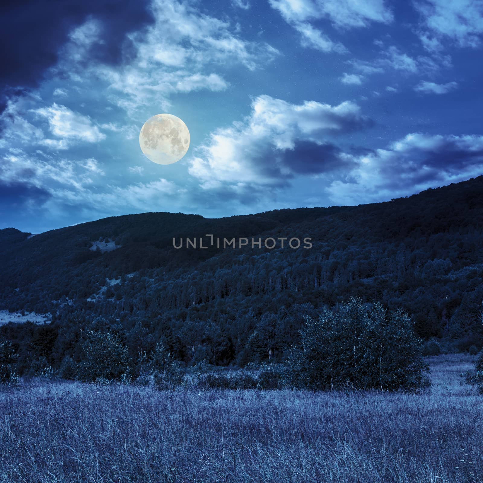 hillside meadow with forest in mountain at night by Pellinni