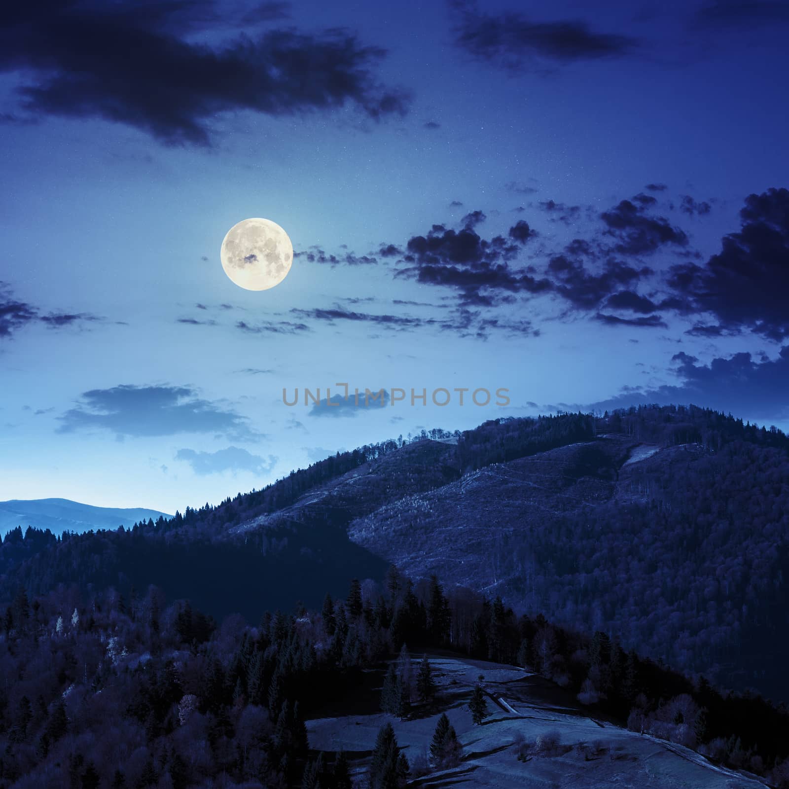 mountain summer landscape. pine trees near meadow and forest on hillside at night in full moon light