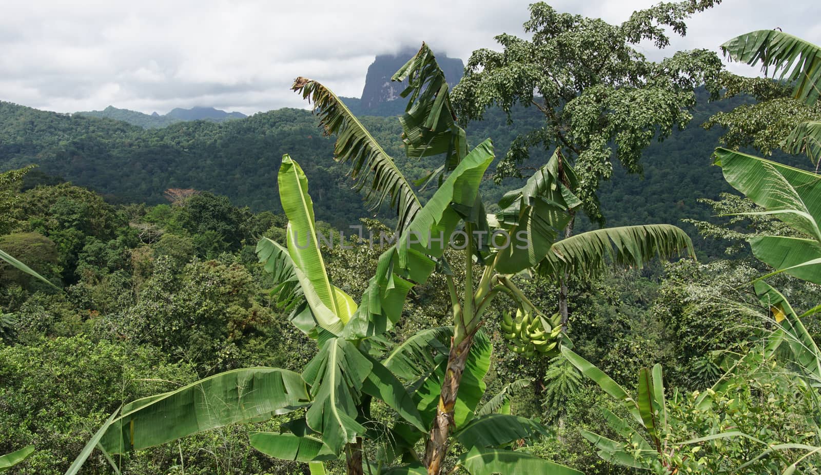 Tropical Landscape, Sao Tome and Principe, Africa