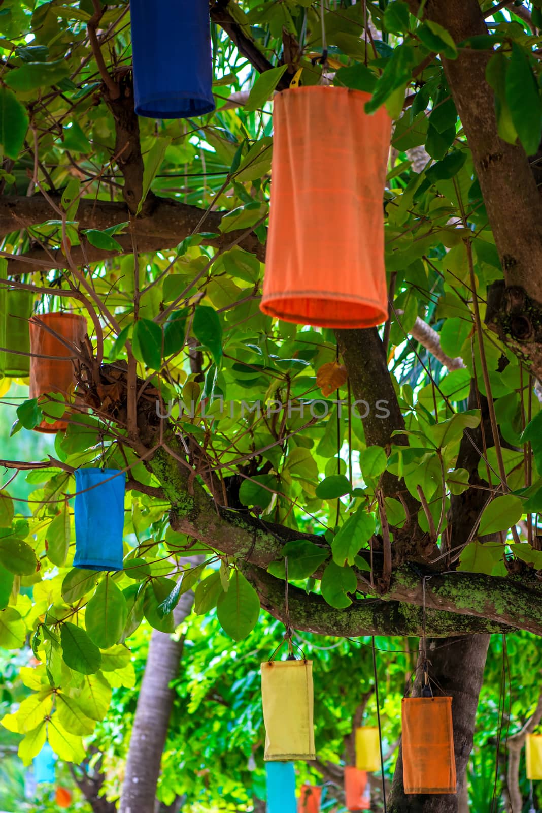 Multi-colored Asian lanterns hanging on trees for lighting at night