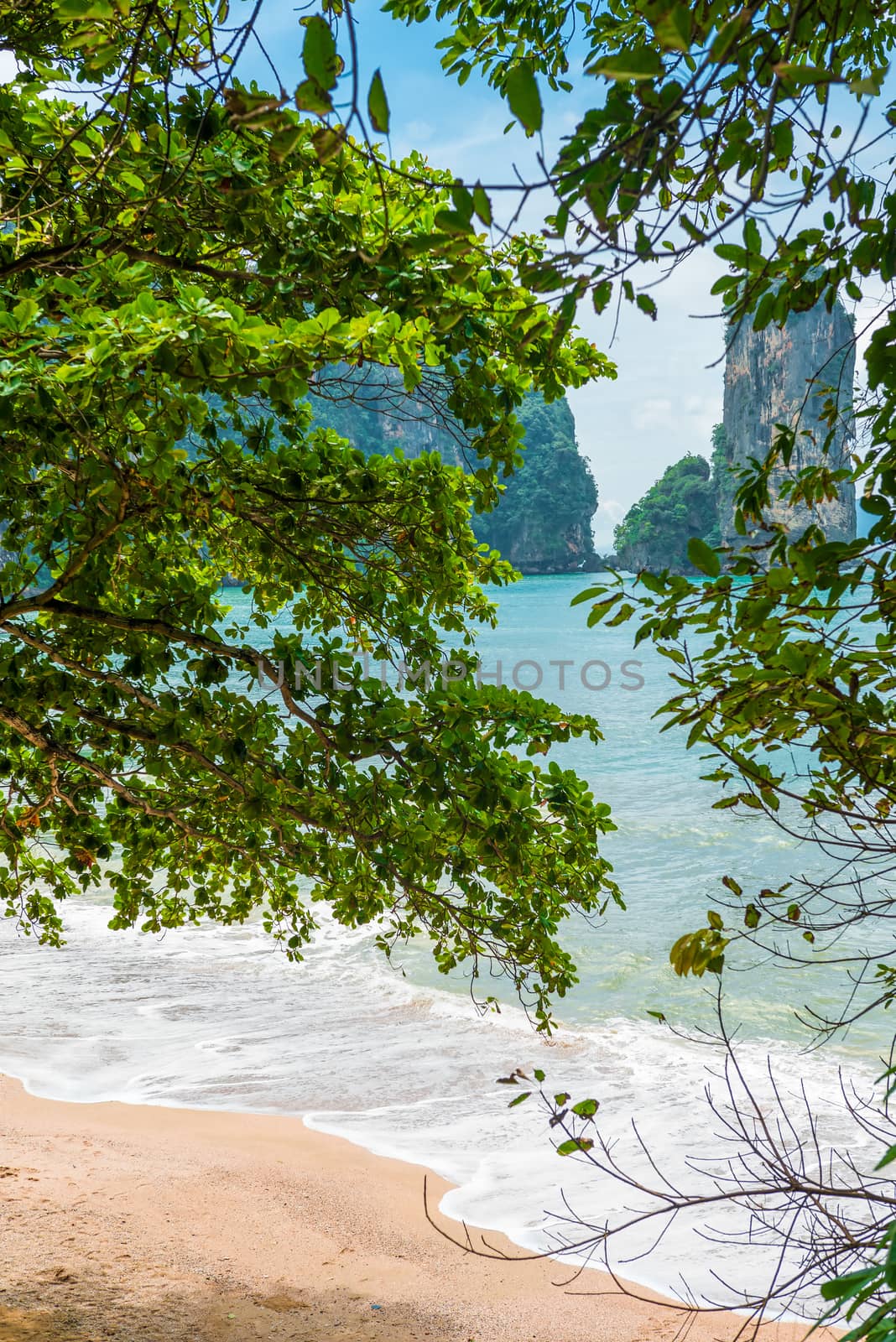 View of the beach and mountains through the foliage of trees