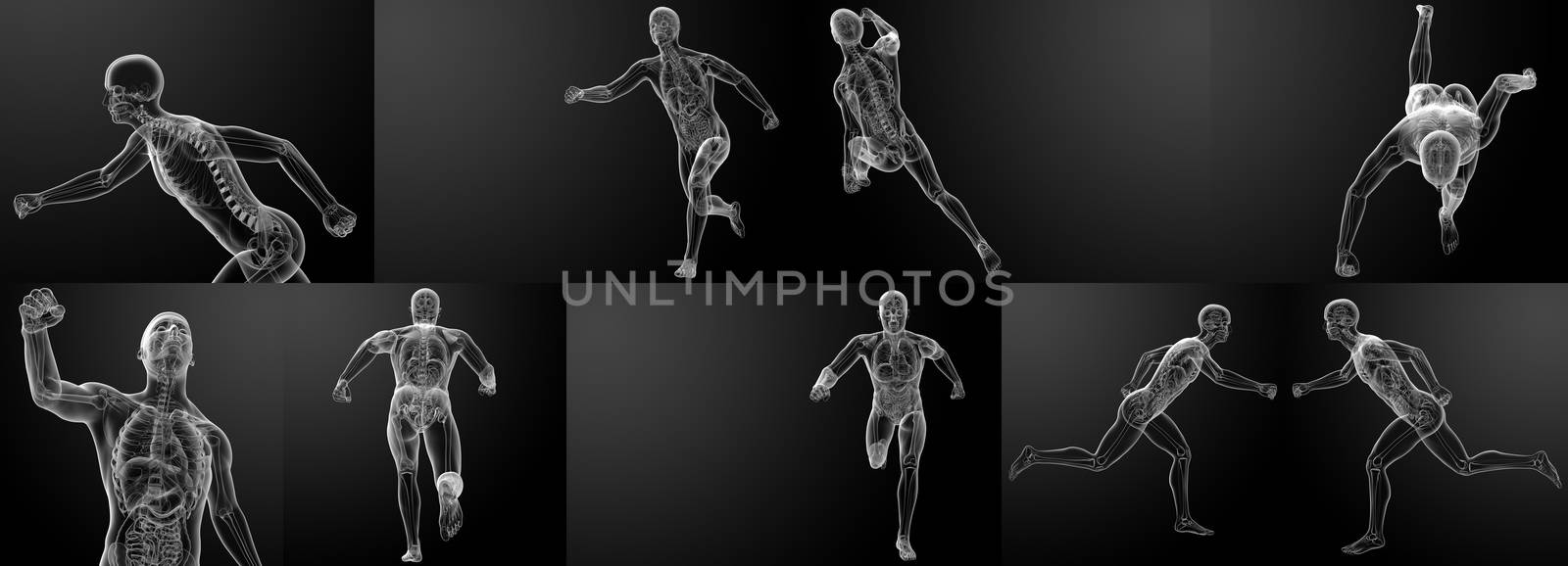 3d render running skeleton by X-rays 