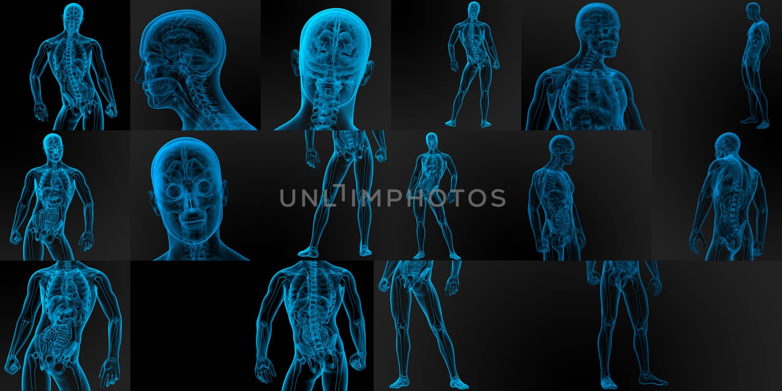 3d rendering medical illustration of the male anatomy