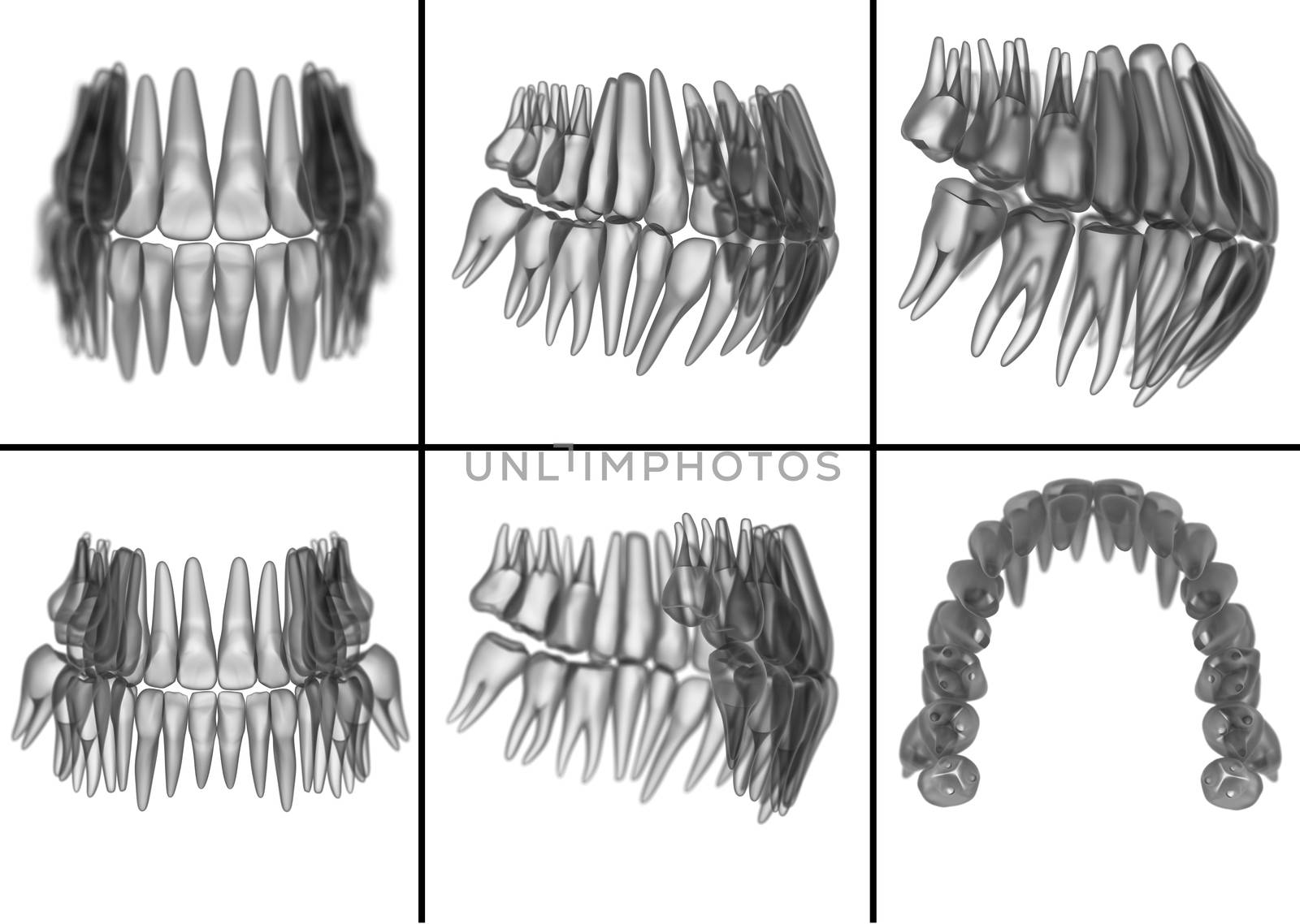 medical illustration of the tooth on  background