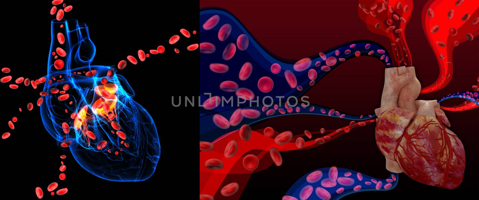 3d rendering Heart valve with blood cells