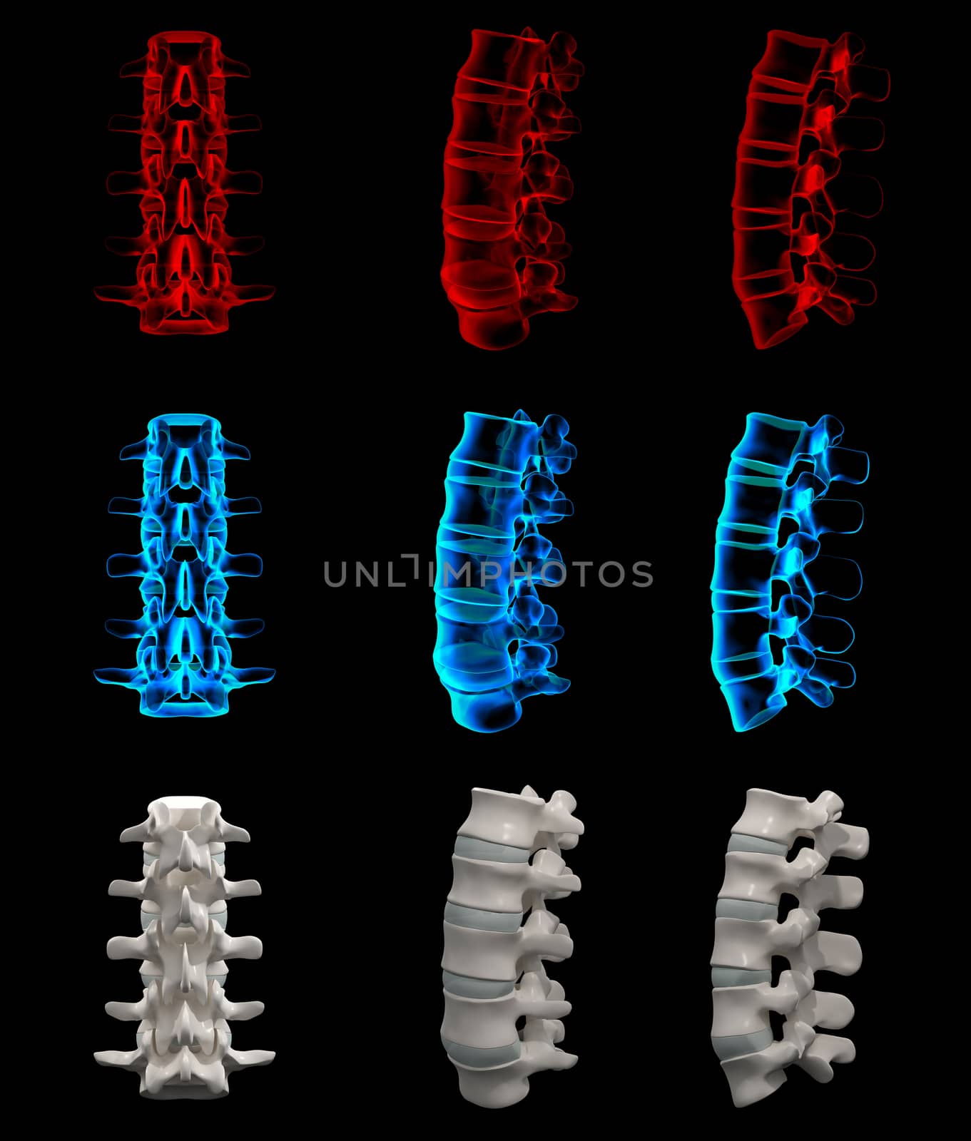 3d rendered illustration of the lumbar