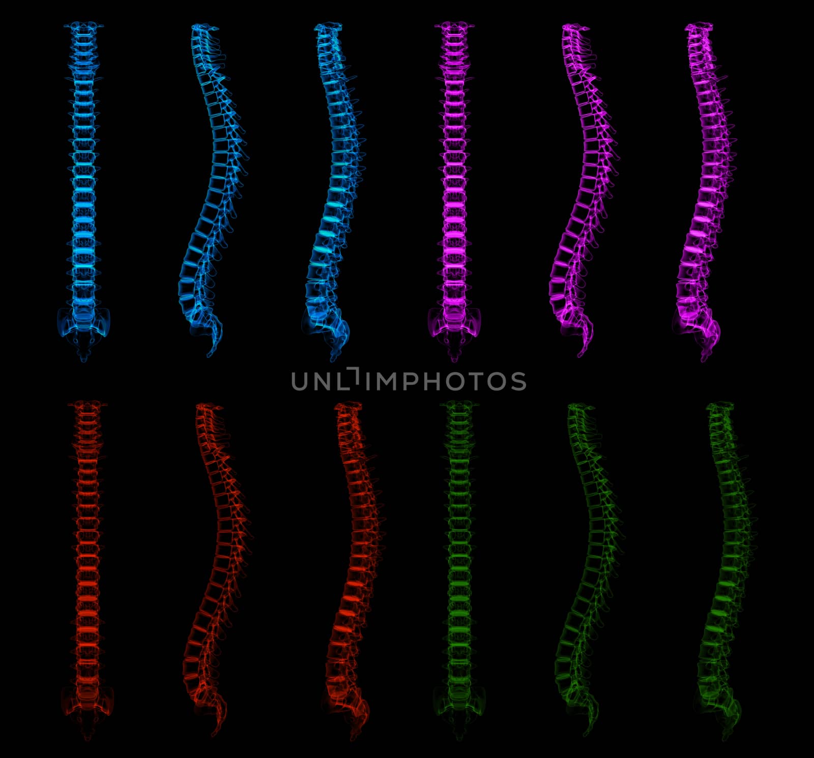 3d rendered of the illustration - human spine