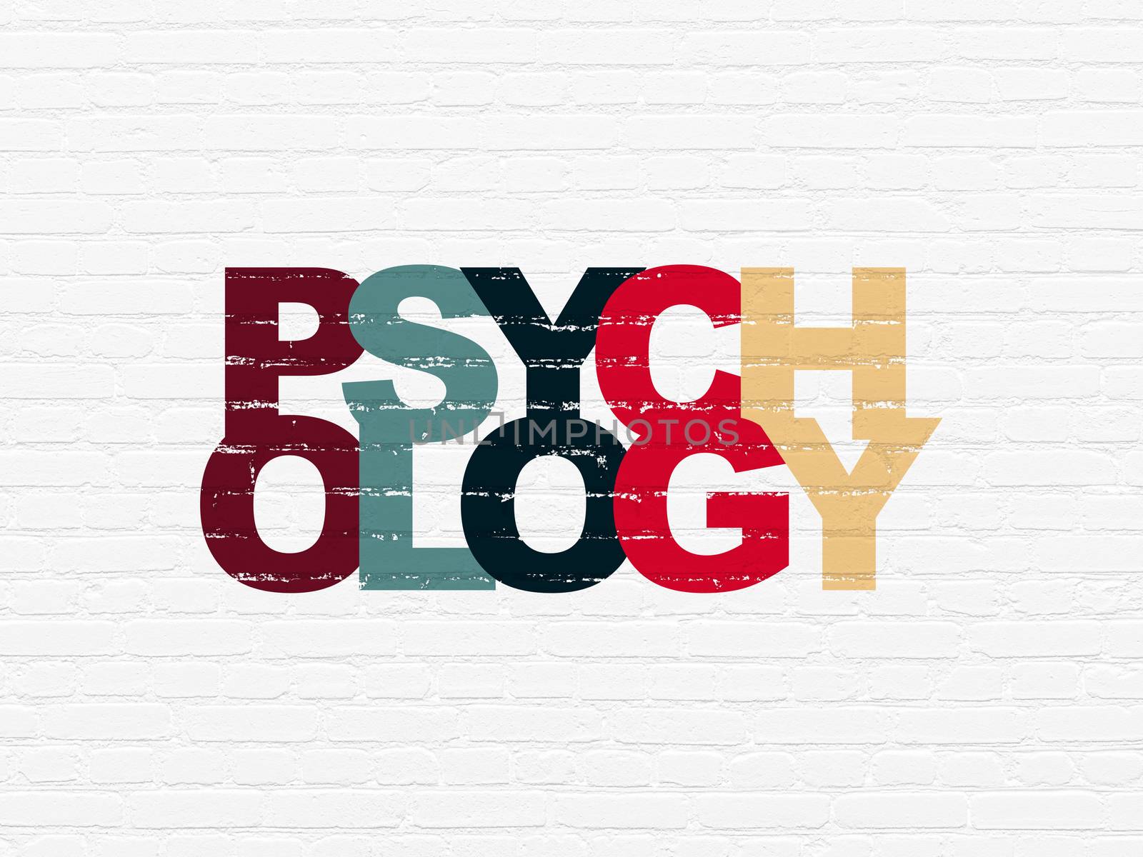 Medicine concept: Painted multicolor text Psychology on White Brick wall background