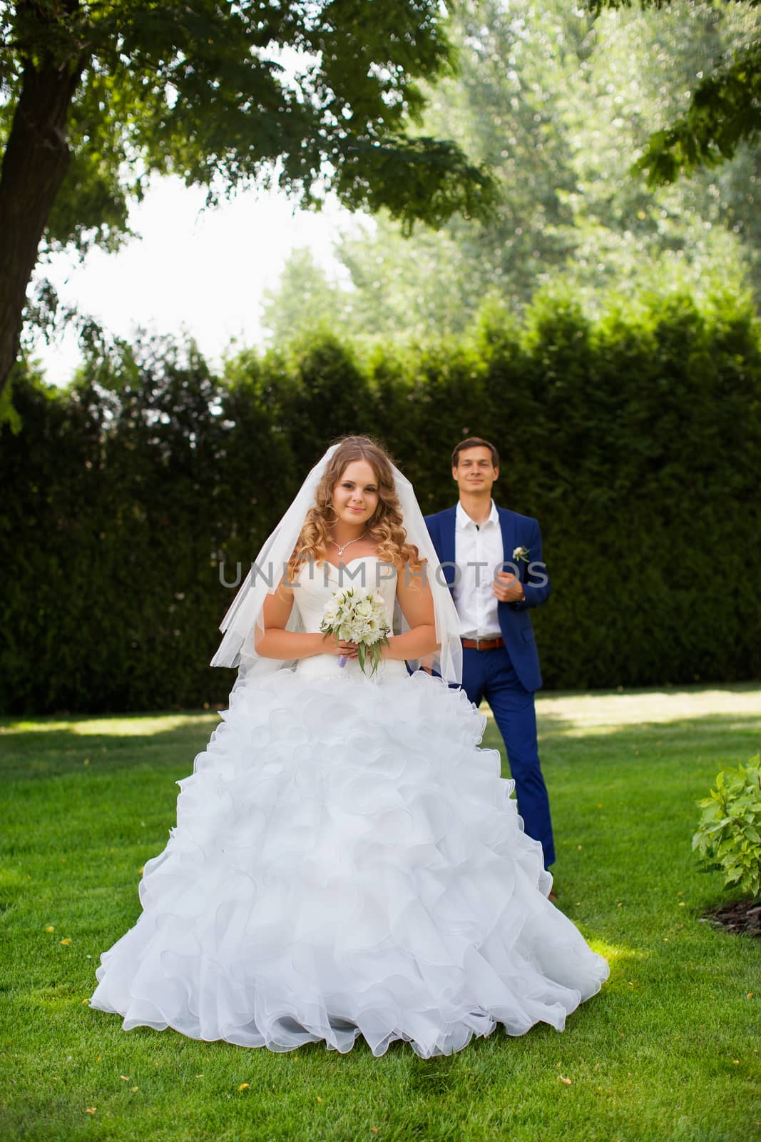 Newlyweds on a walk in the park on a warm sunny day