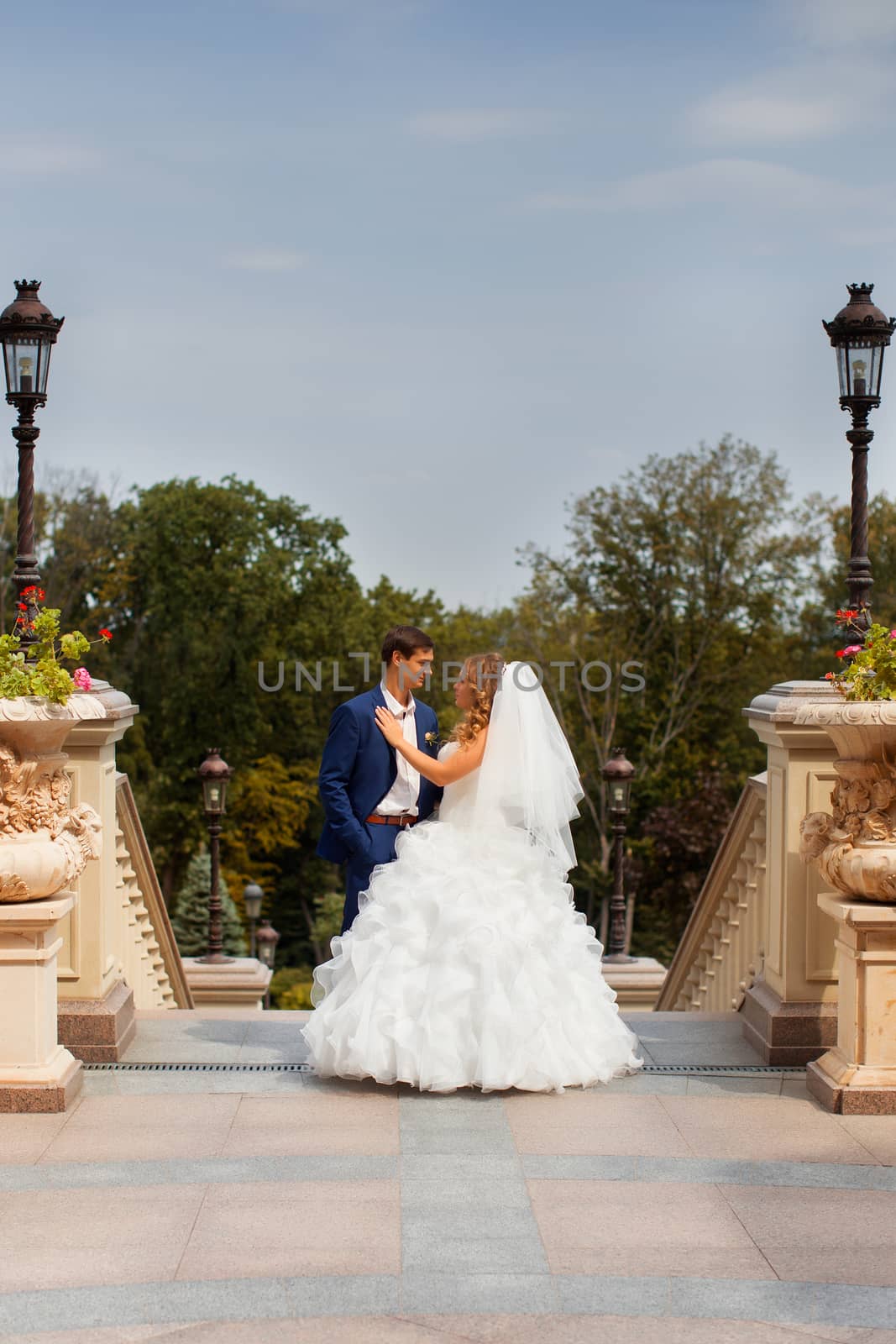 Newlyweds on a walk in the park on a warm sunny day