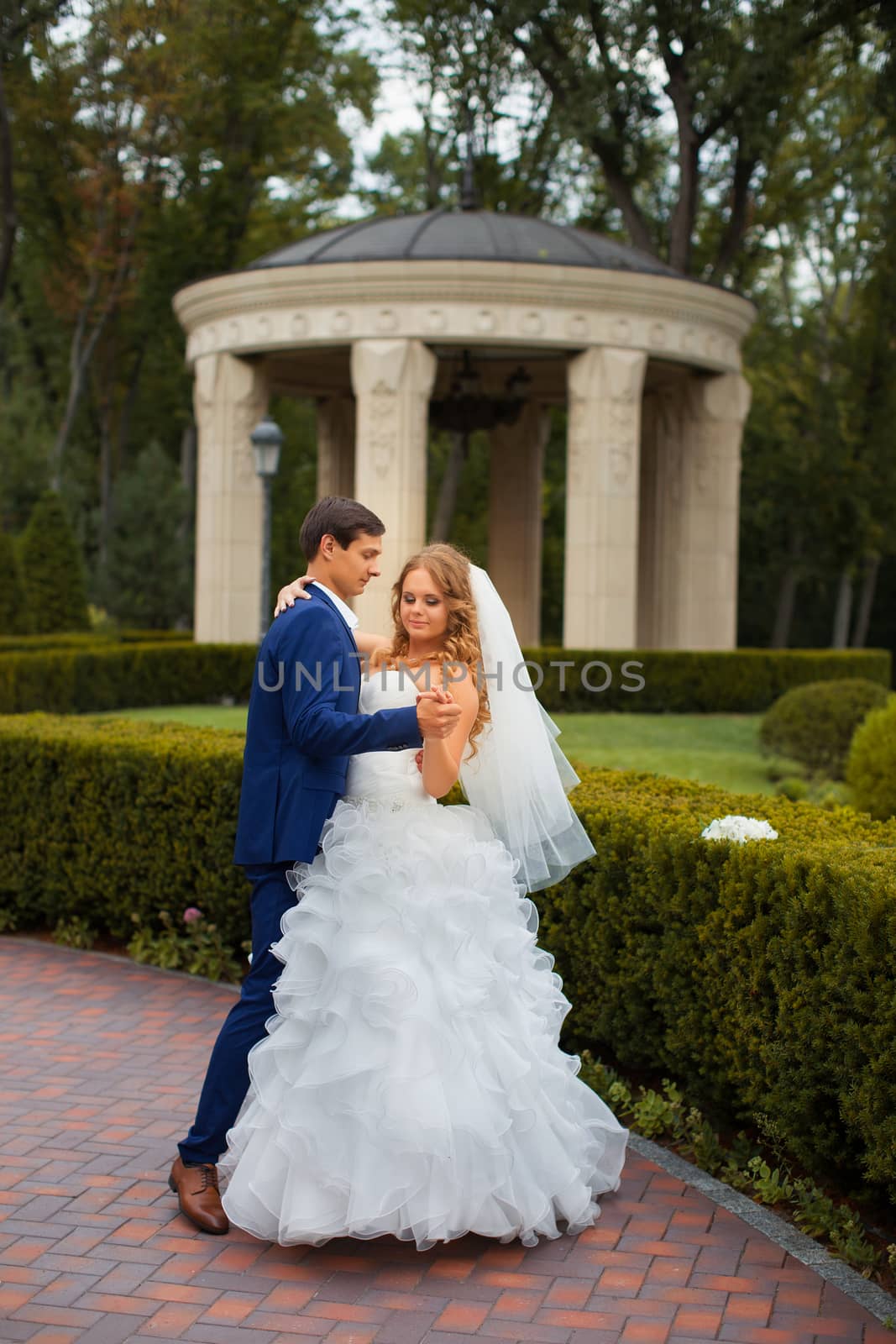 Newlyweds on a walk in the park on a warm sunny day