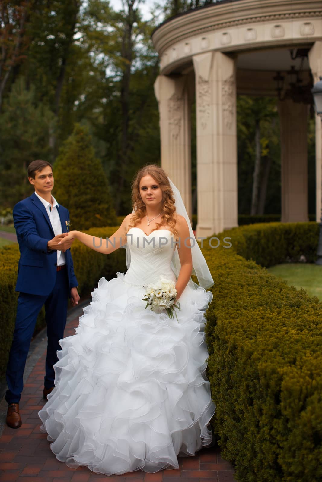 Newlyweds on a walk in the park on a warm sunny day