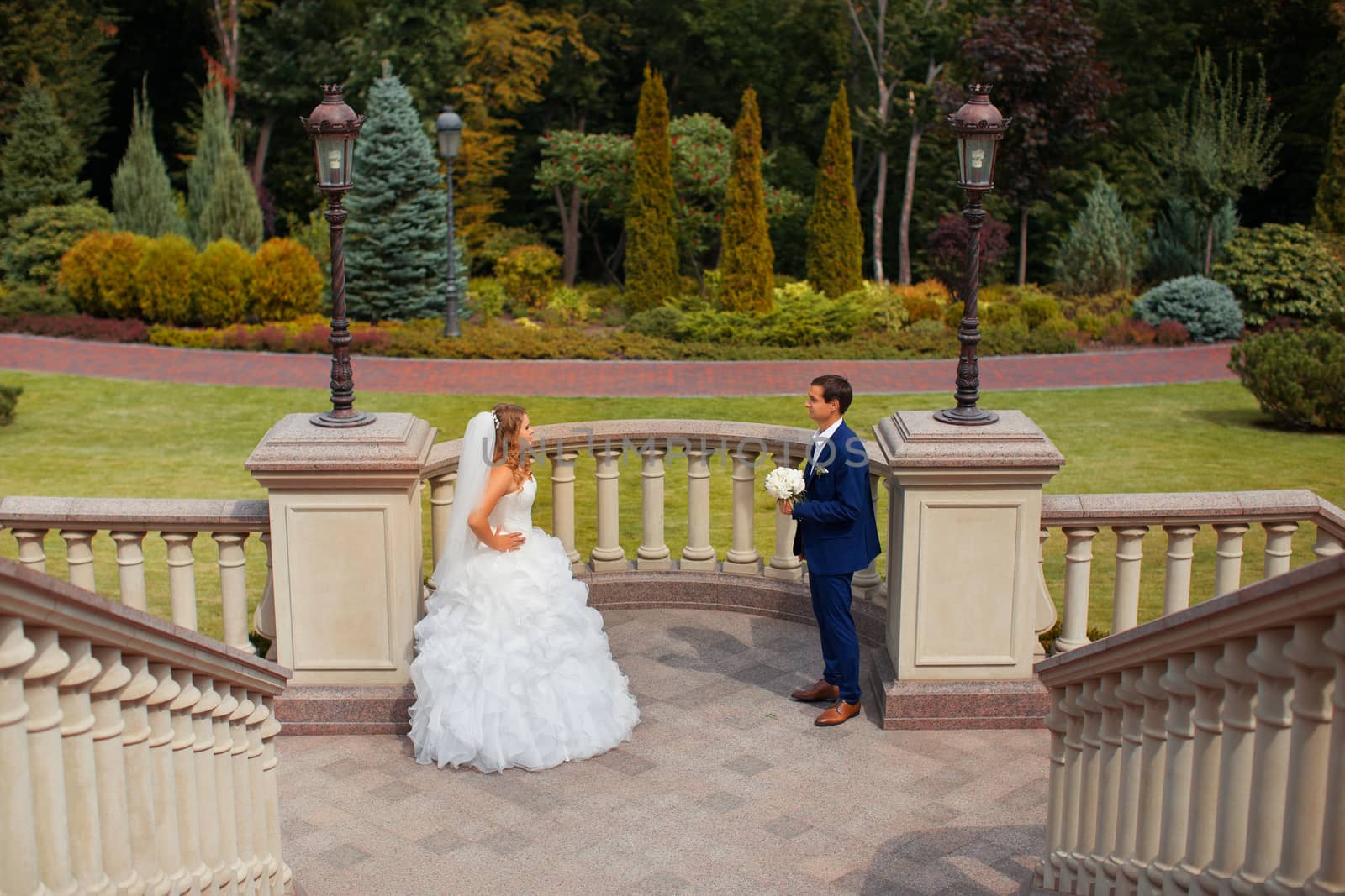 Newlyweds on a walk in the park on a warm sunny day