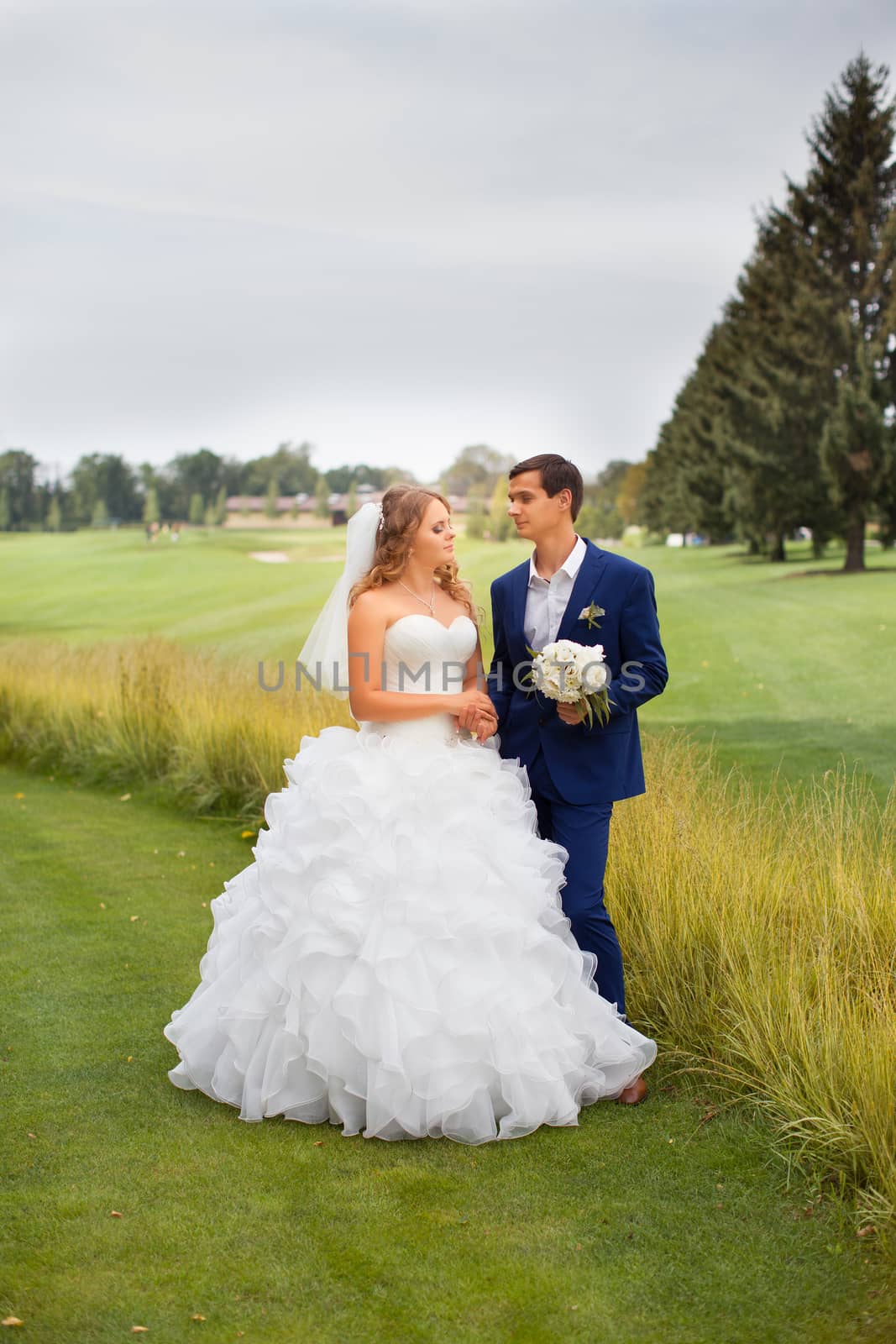 Newlyweds on a walk in the countryside by lanser314