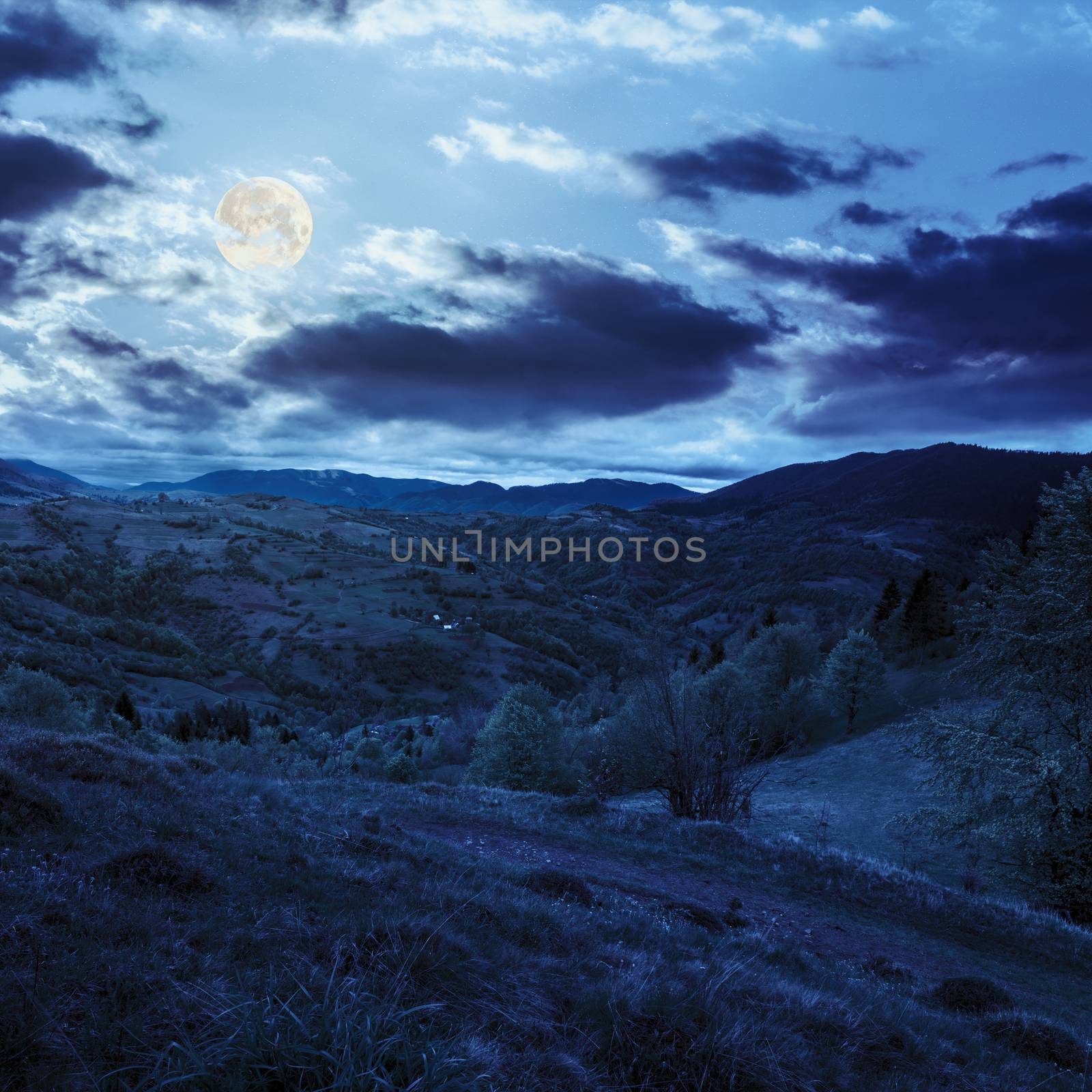 green fields in the mountains near native village under a blue summer sky at night in full moon light