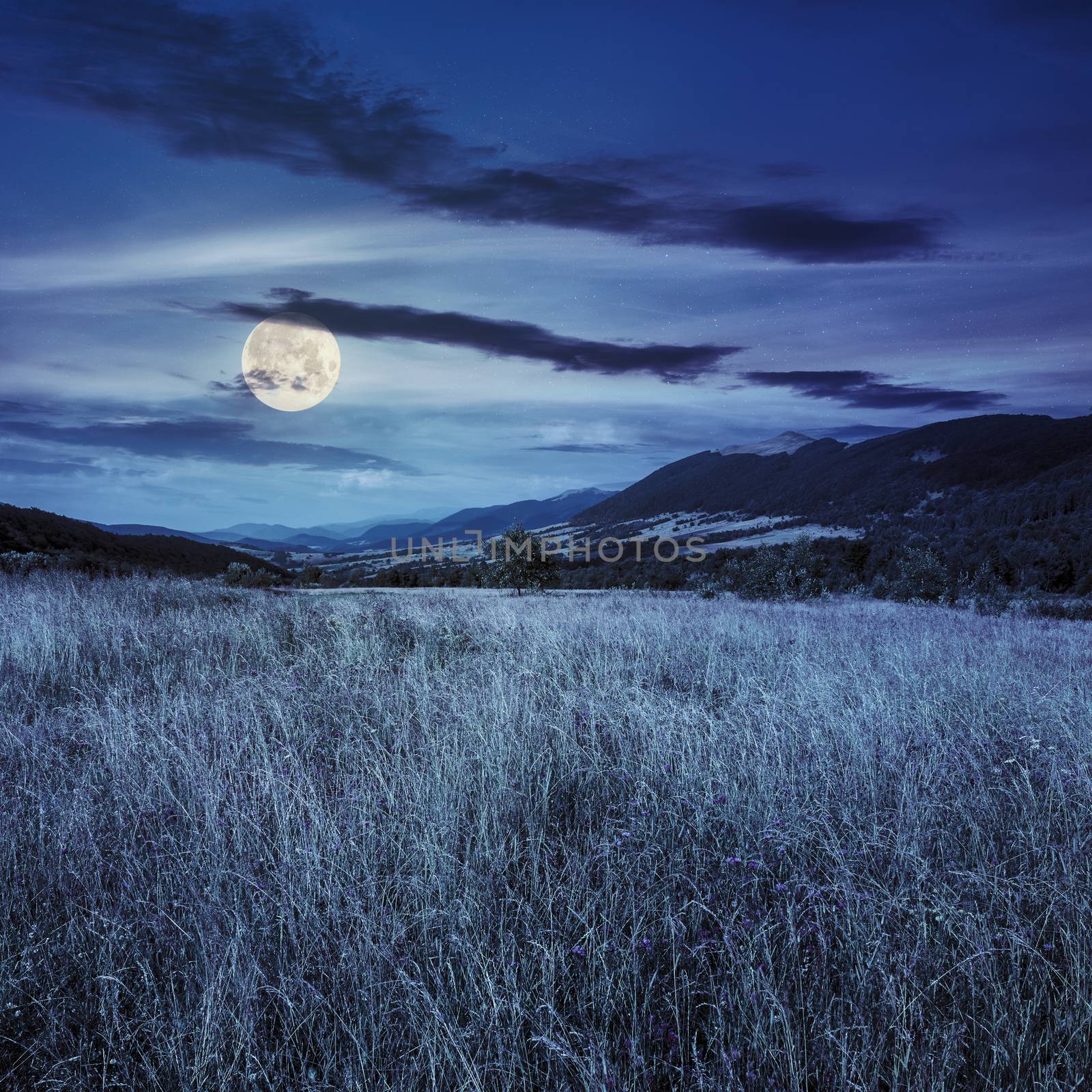 meadow in the mountains under a blue summer sky at night in full moon light