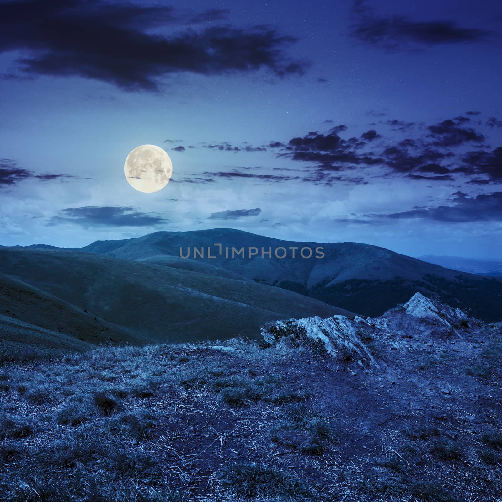 mountain landscape. valley with stones on the hillside. forest on the mountain under the beam of light falls on a clearing at the top of the hill. at night in full moon light
