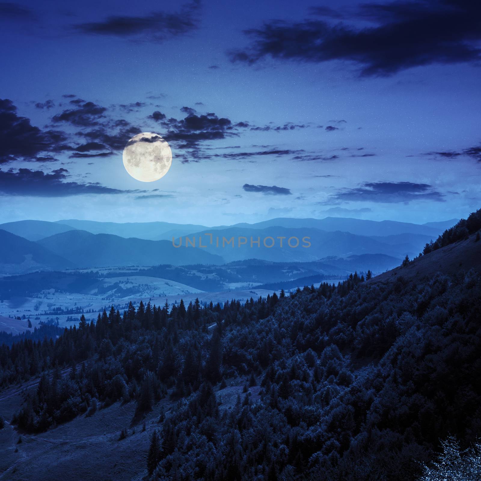 slope of mountain range with coniferous forest and village at night infull moon light