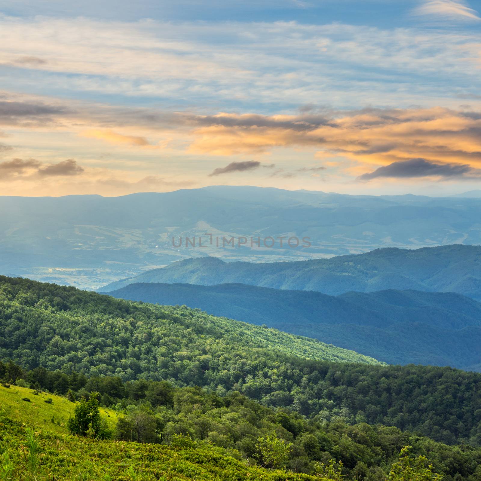 slope of mountain range with coniferous forest and village slope at sunrise