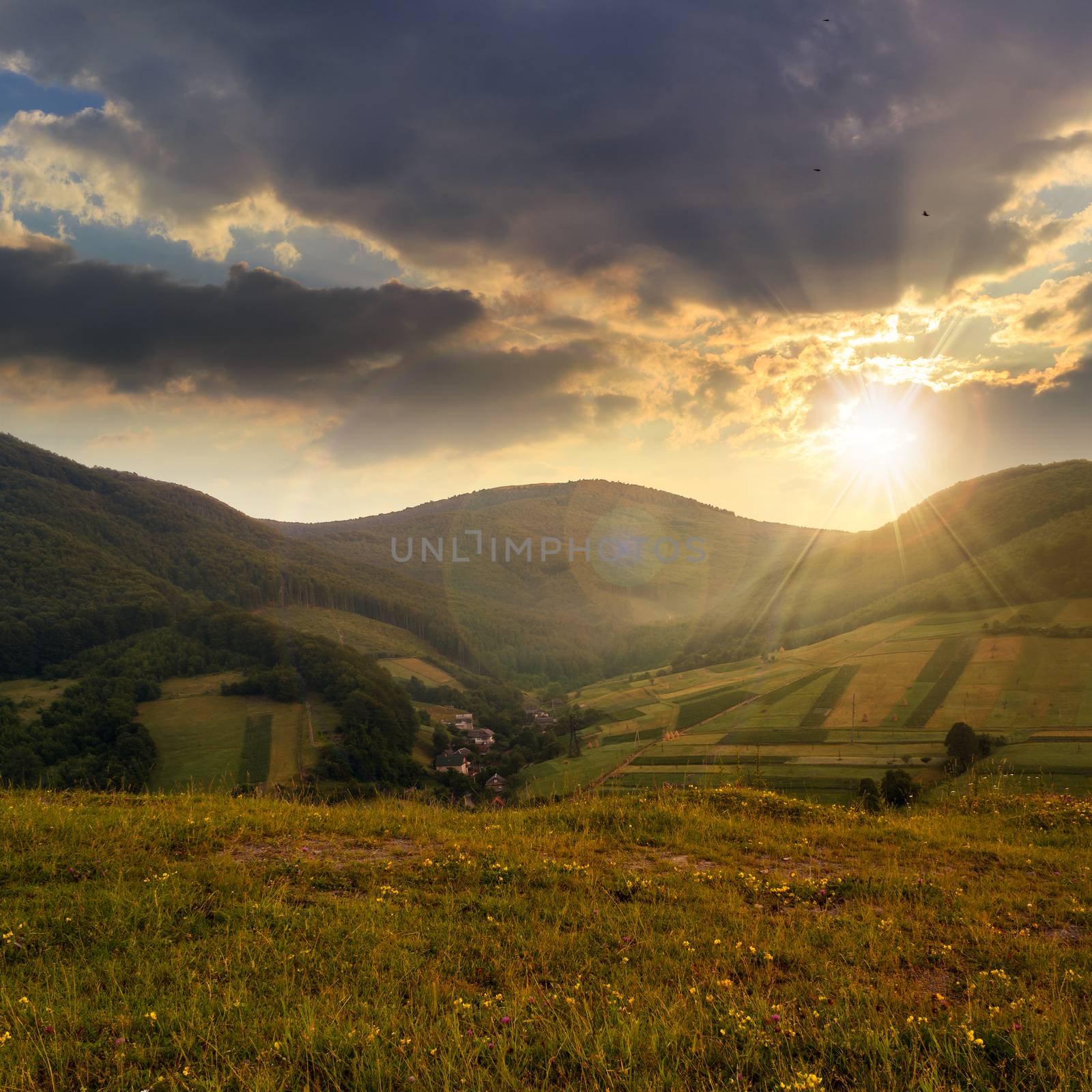 field near home in mountains at sunset by Pellinni