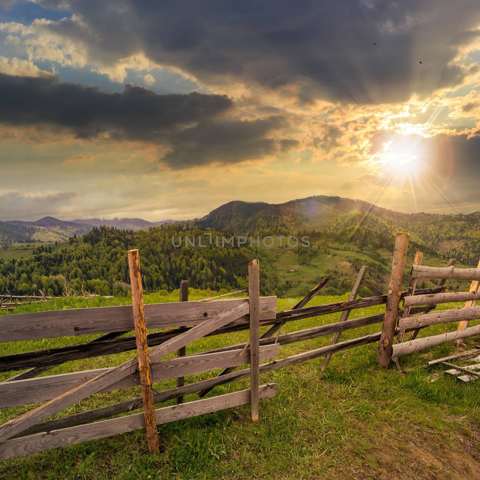 fence on hillside meadow in mountain at sunset by Pellinni