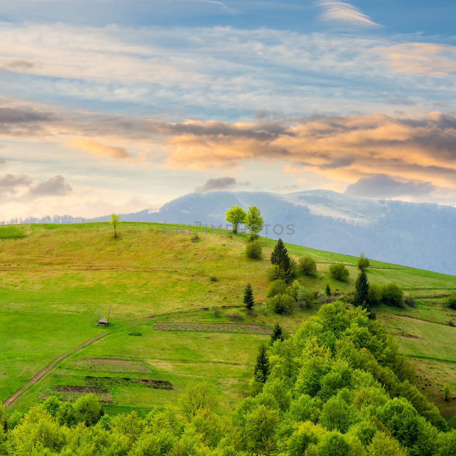 autumn landscape. village on the hillside. forest on the mountain light fall on clearing on mountains at sunrise