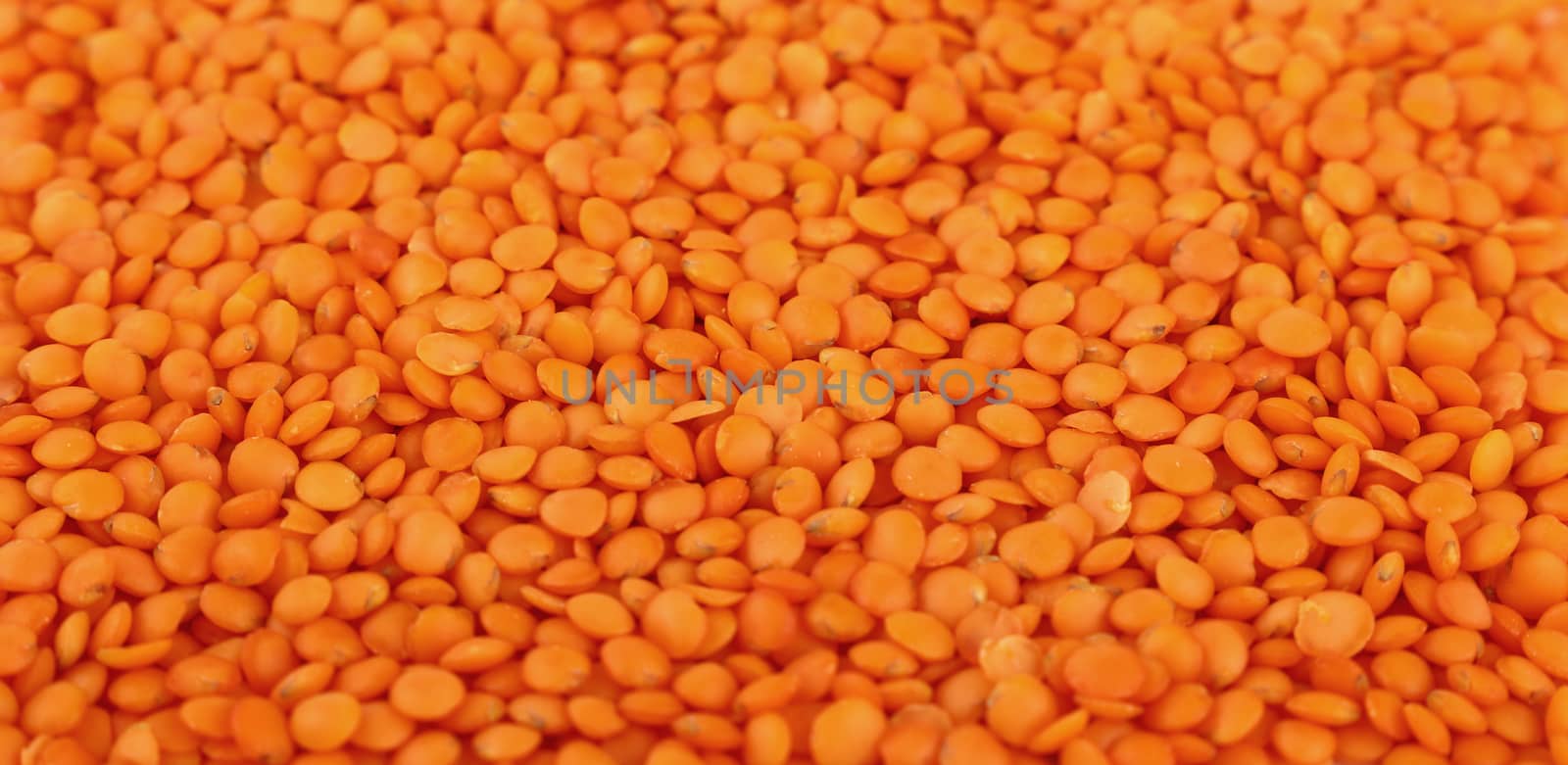Orange Masoor Dal (Red Chief) lentil lens close up pattern background, high angle view, selective focus