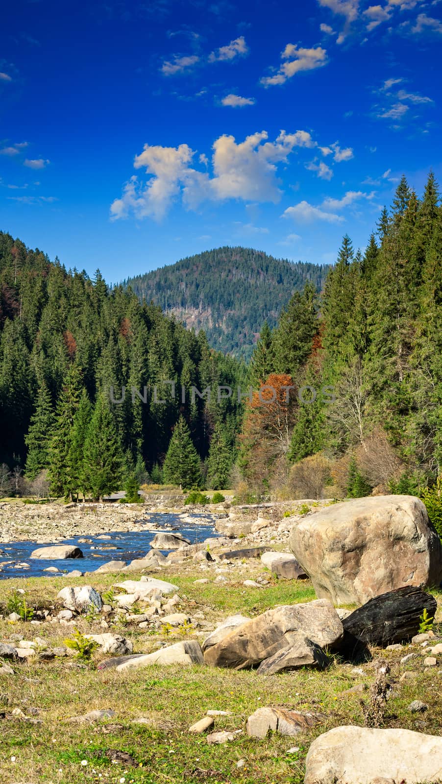 mountain river with stones and moss in the forest near the mountain slope