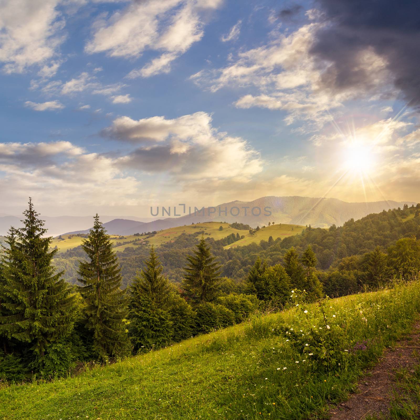 slope of mountain range with coniferous forest and village at sunset