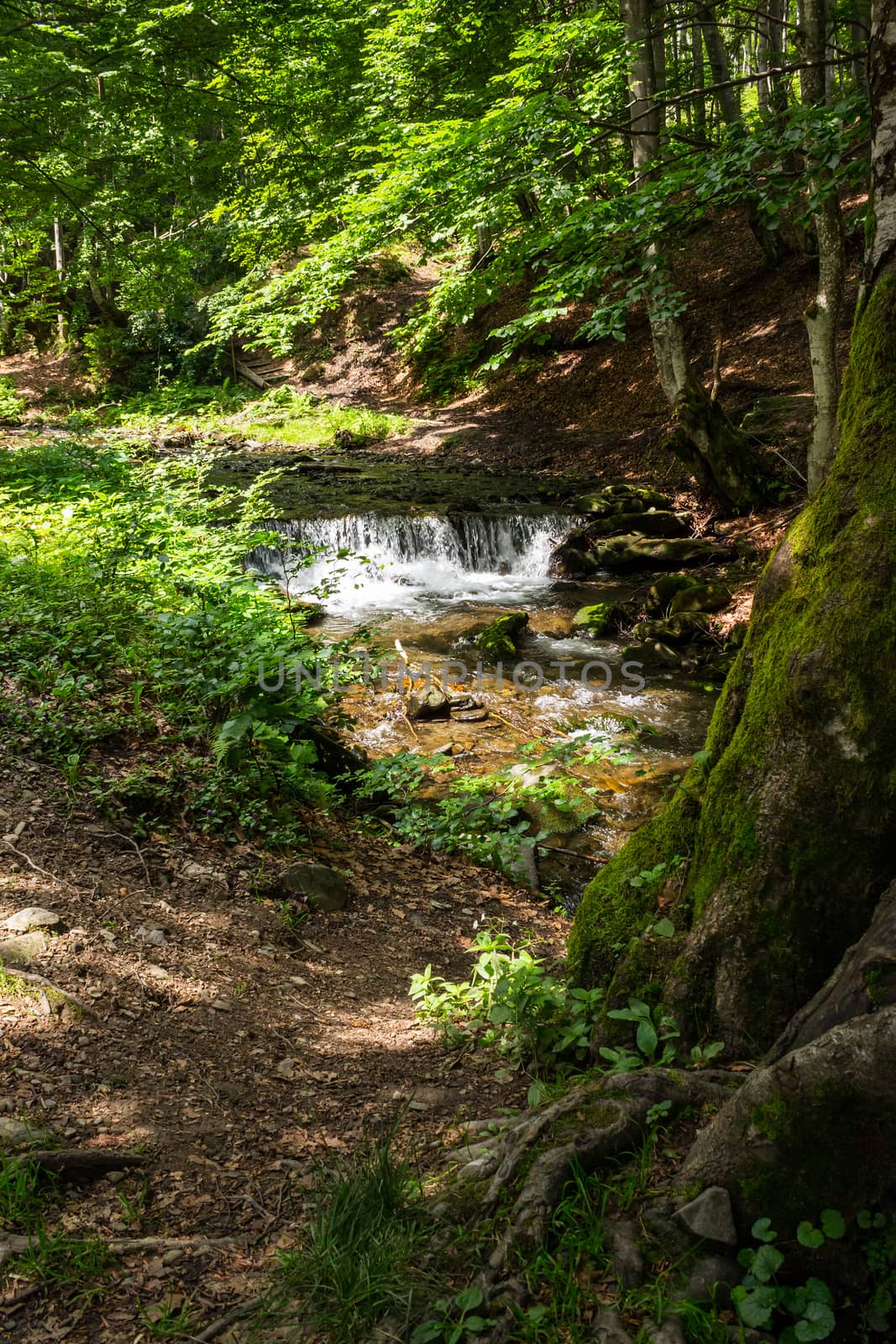 mountain river with stones and cascade in the forest 