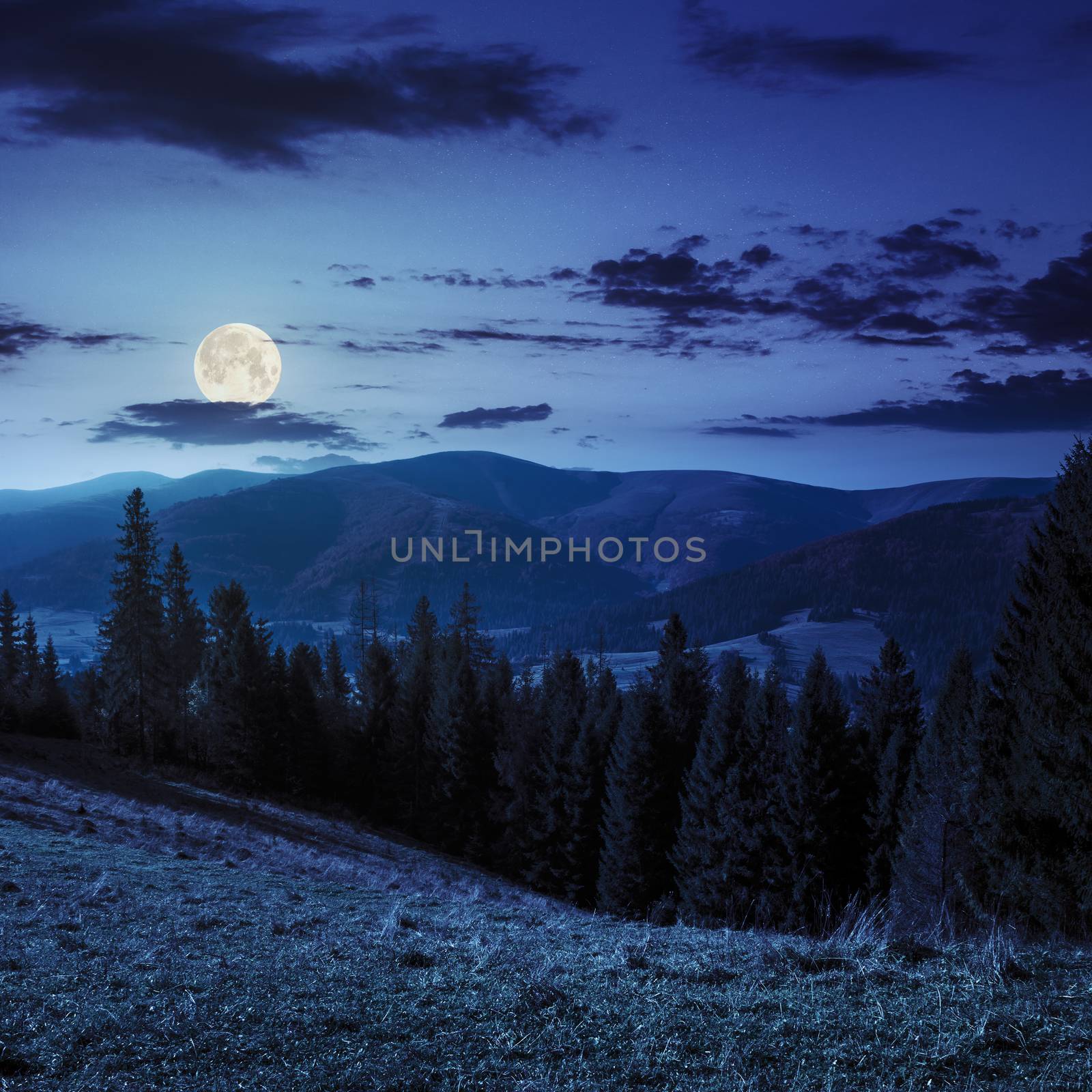 hillside of mountain range with coniferous forest and meadow at night in full moon light