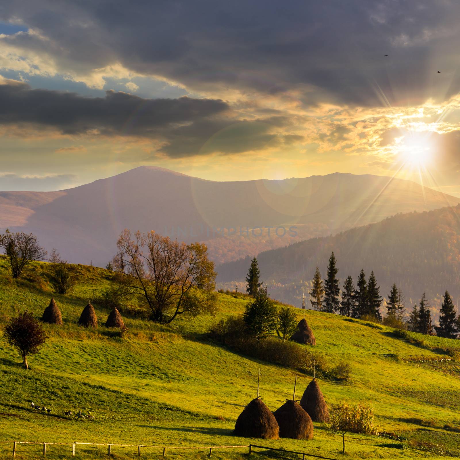 Stack of hay on a green meadow in the mountains at sunset under a blue autumn sky