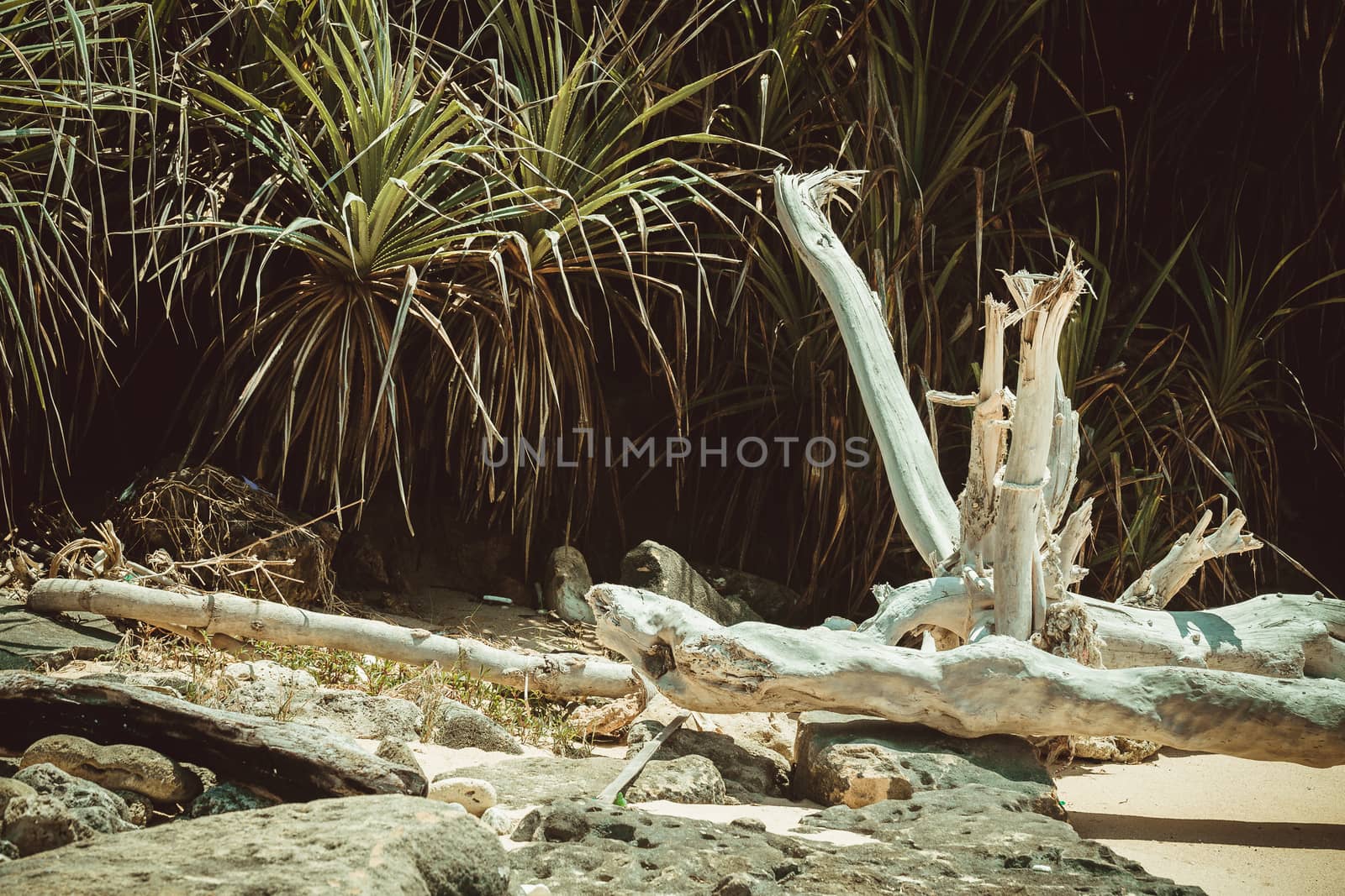 Beautiful view of stone coast at Bali island, Tegal Wangi Beach, Bali, Indonesia. by boys1983@mail.ru