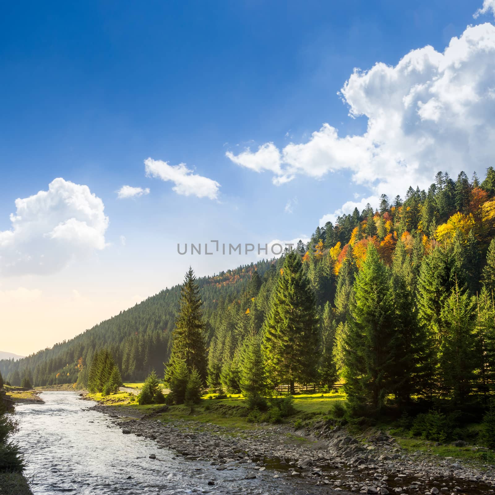 forest river in autumn mountains by Pellinni