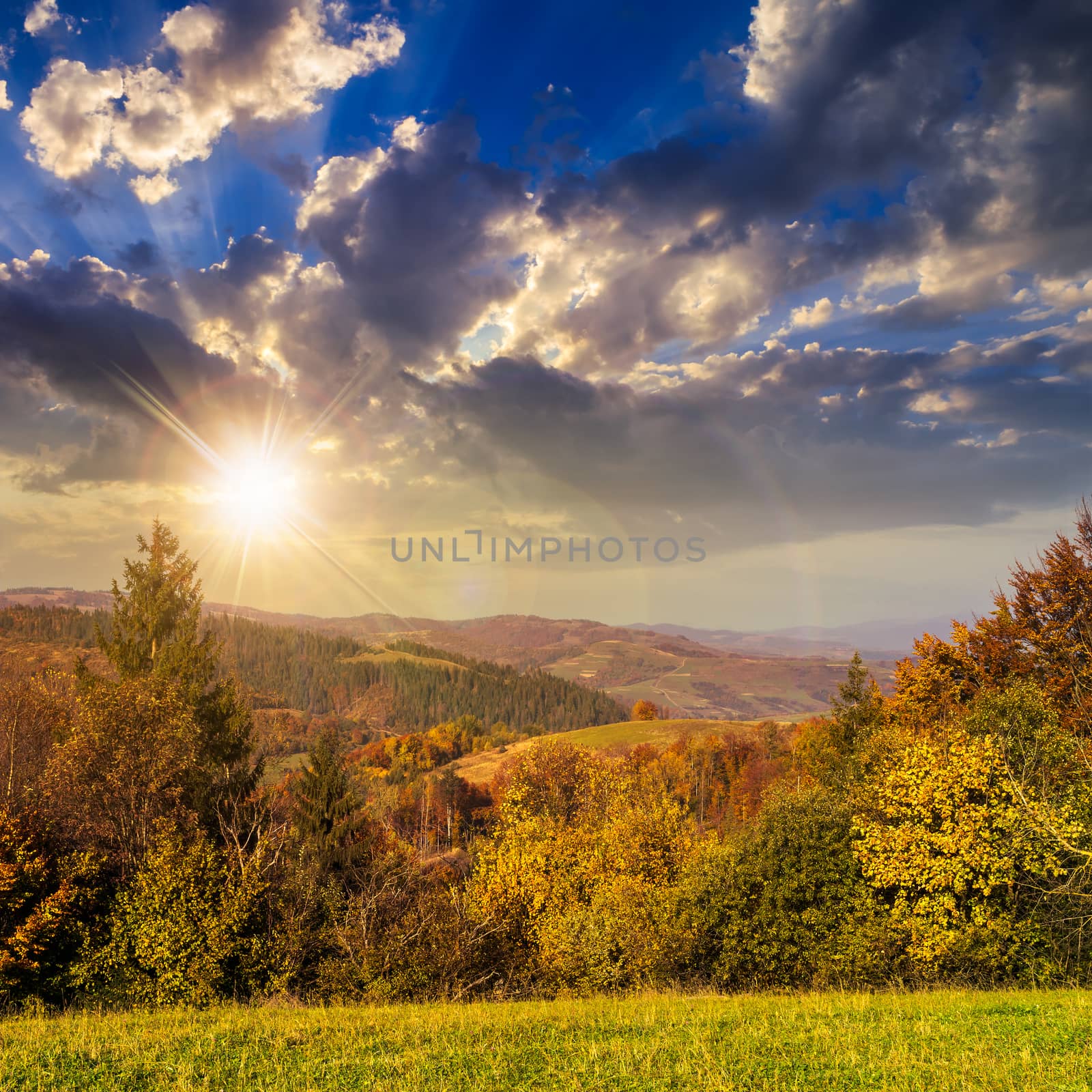 yellow and orange trees on autumn meadow in mountains at sunset