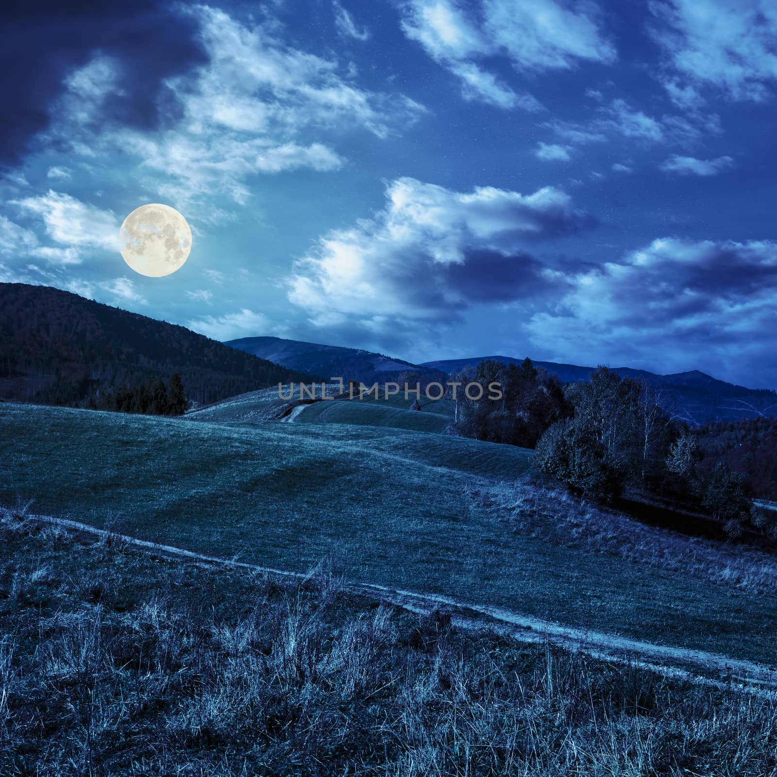 yellow and orange trees on autumn meadow in mountains at night in full moon light