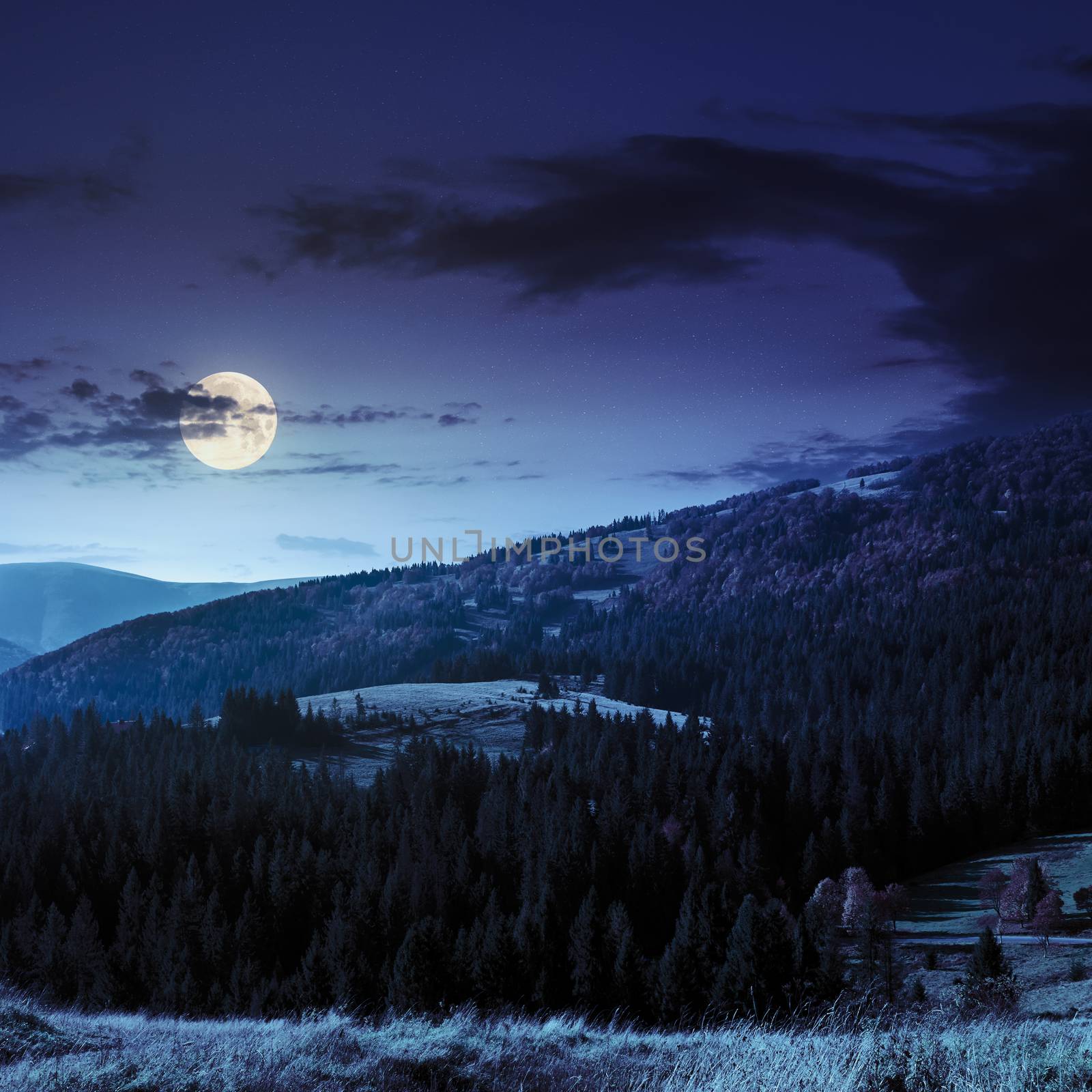 hill of mountain range with fir forest in autumn at night in full moon light