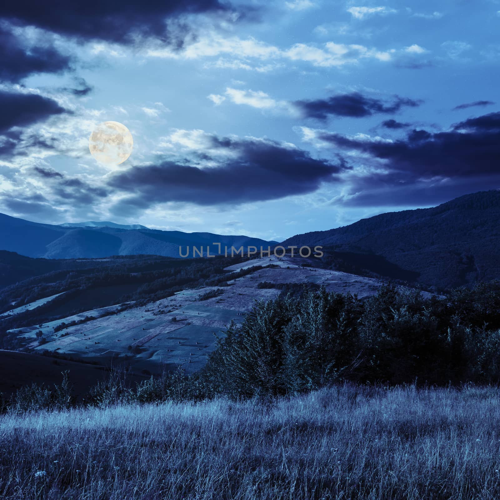 mountain landscape. trees near meadow and forest on hillside at night in full moon light