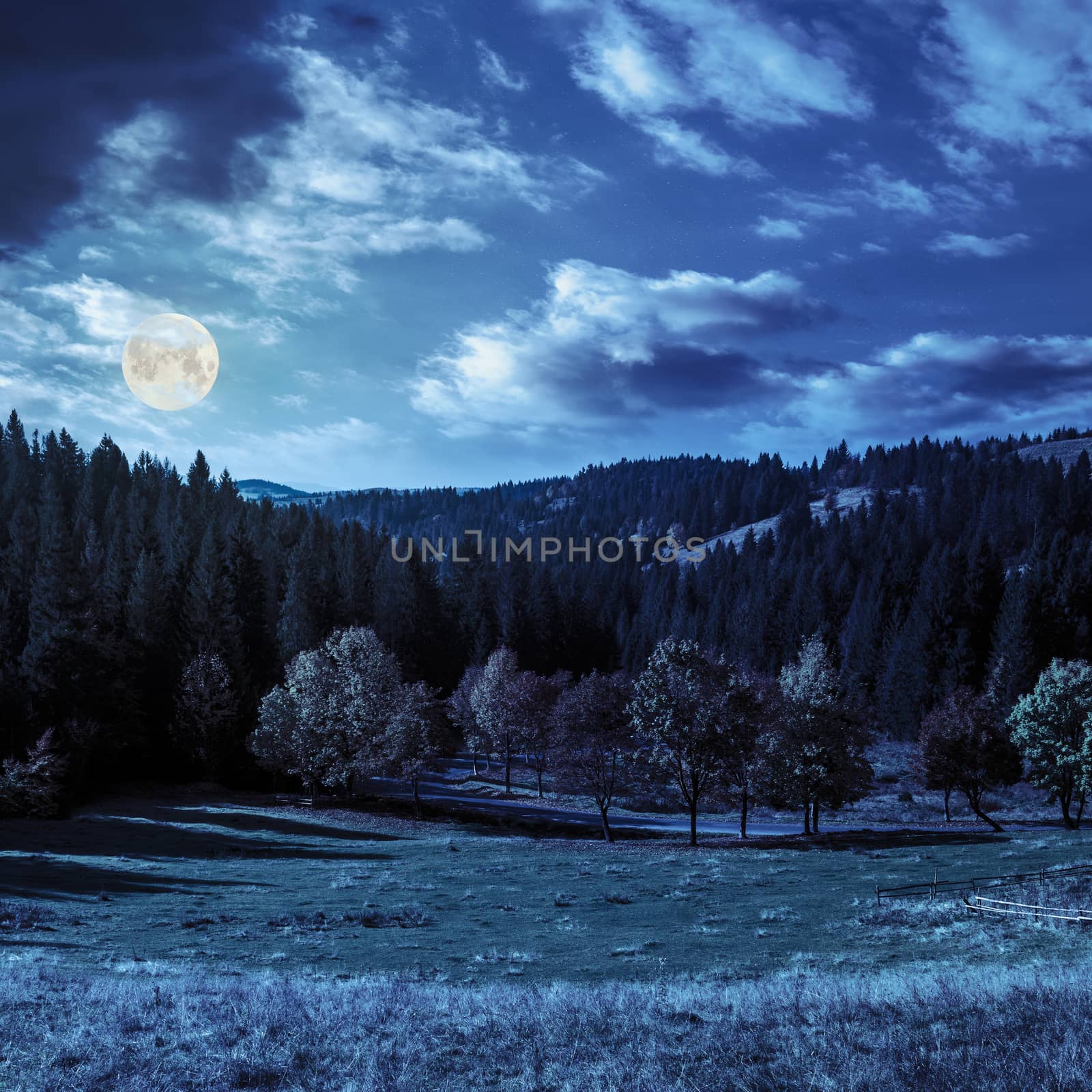 asphalt road going through green meadow with trees near autumn forest with foliage in mountains at night in full moon light