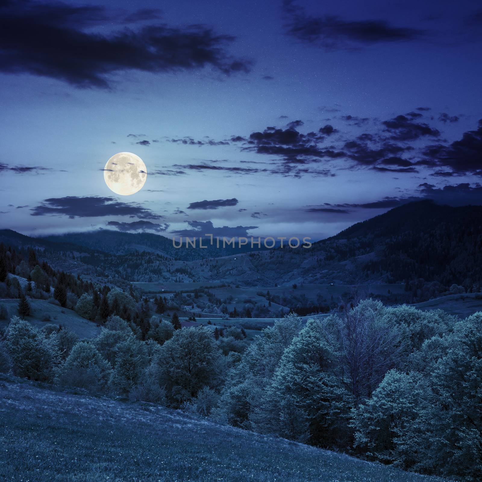 slope of mountain range with coniferous forest and village at night in full moon light