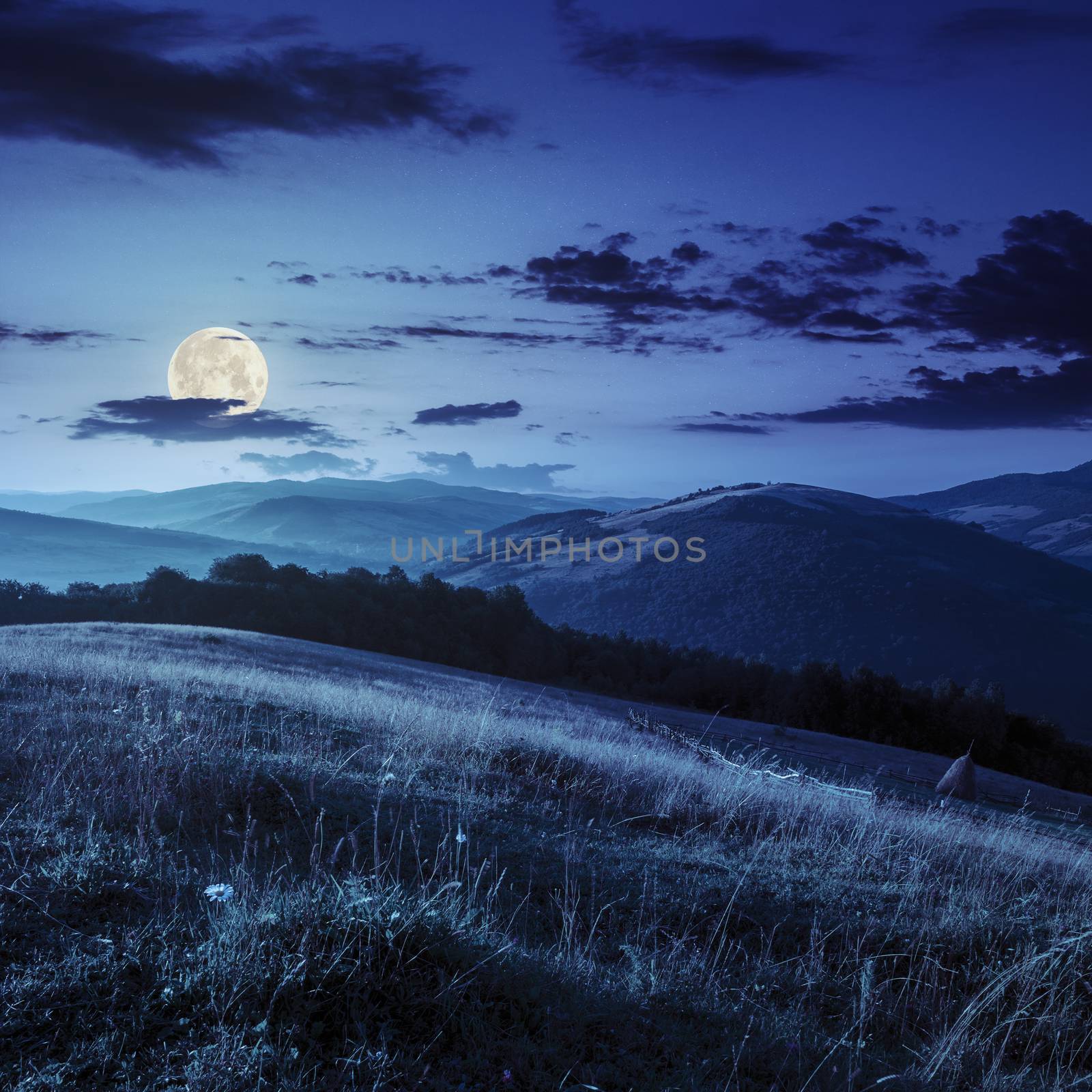 Stack of hay on a green meadow near the village in mountains at night in full moon light
