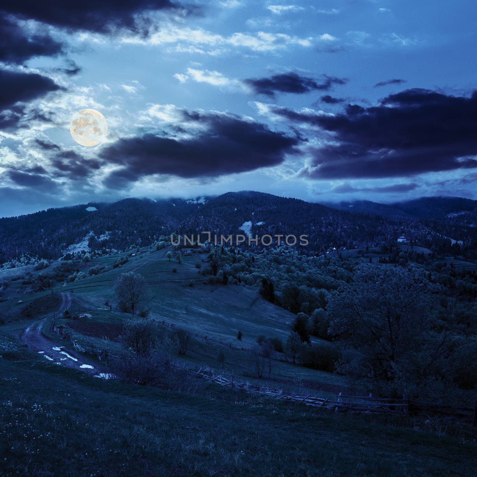 autumn landscape. fence near the meadow path on the hillside. forest in fog on the mountain. at night in full moon light
