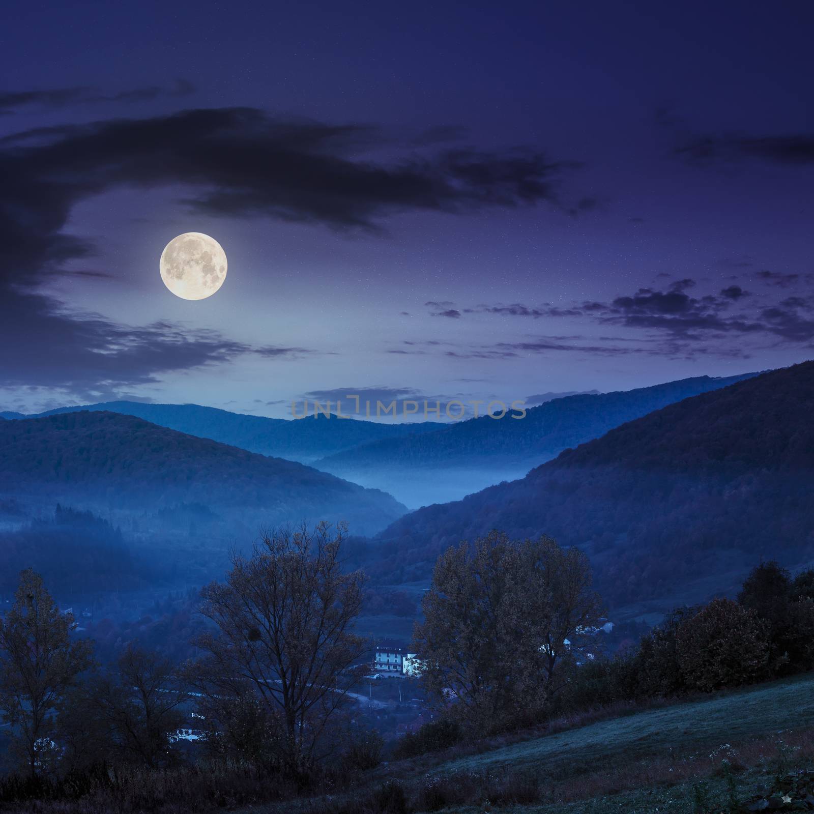 autumn landscape. village on the hillside. forest in fog on mountains at night in full moon light