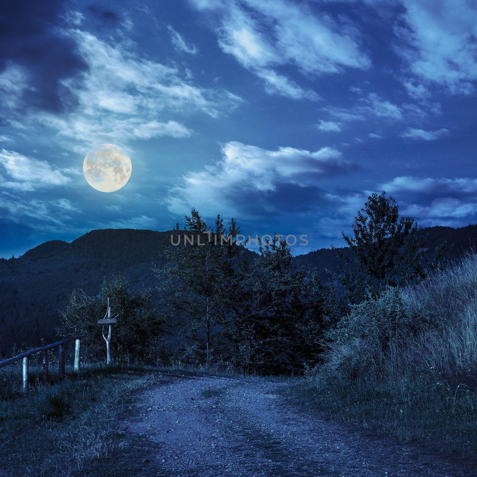 summer landscape. fence near the path on the hillside in high mountain at night in full moon light
