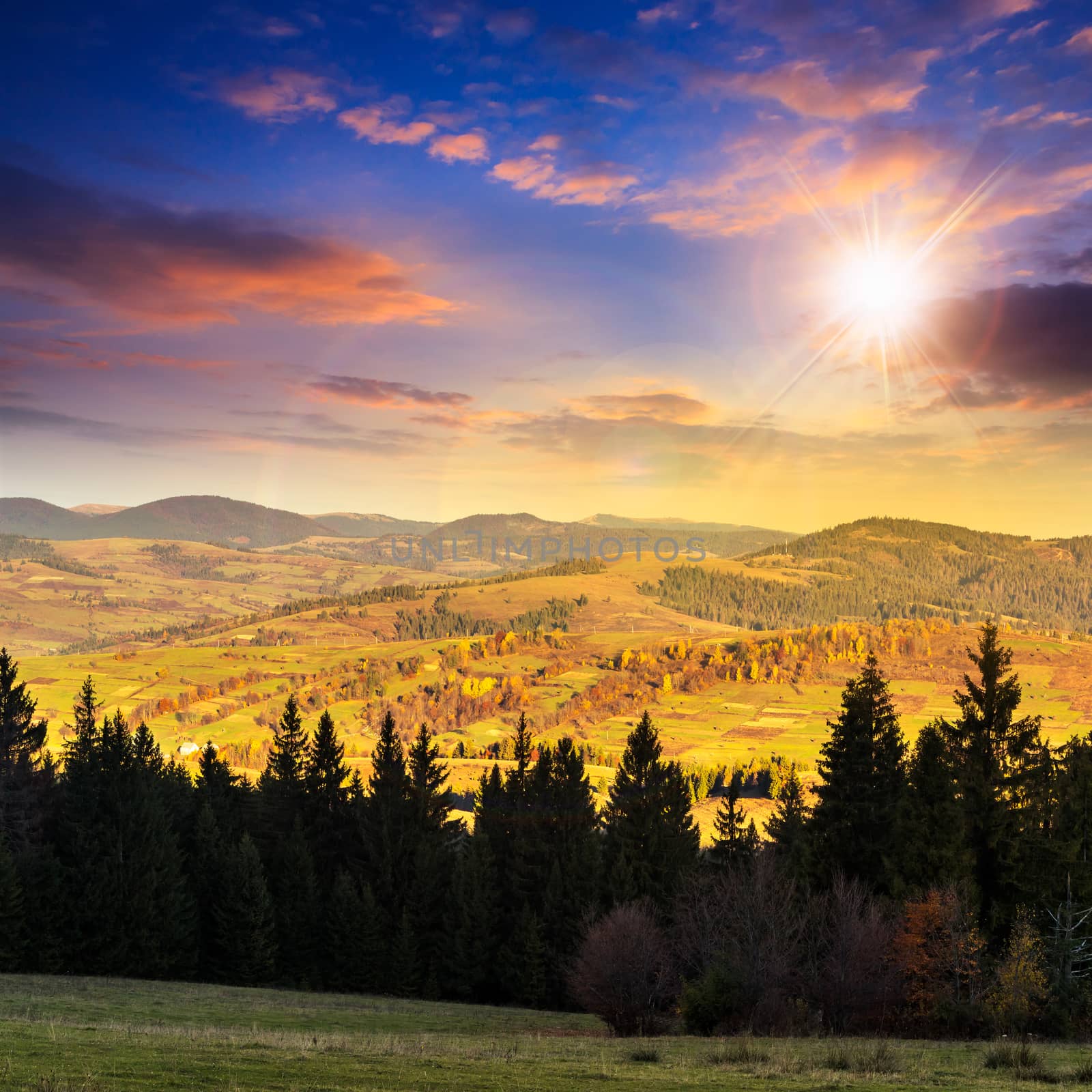 autumn landscape. forest on a hillside covered with red and yellow leaves. over the mountains against blue sky clouds at sunset