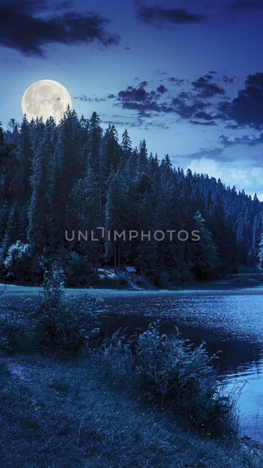 view on lake near the pine forest early in the morning on mountain background