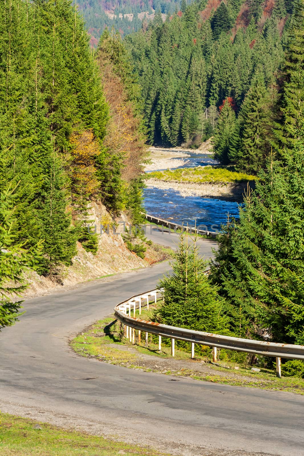 asphalt road going off into the distance on the left, passes through the green shaded forest